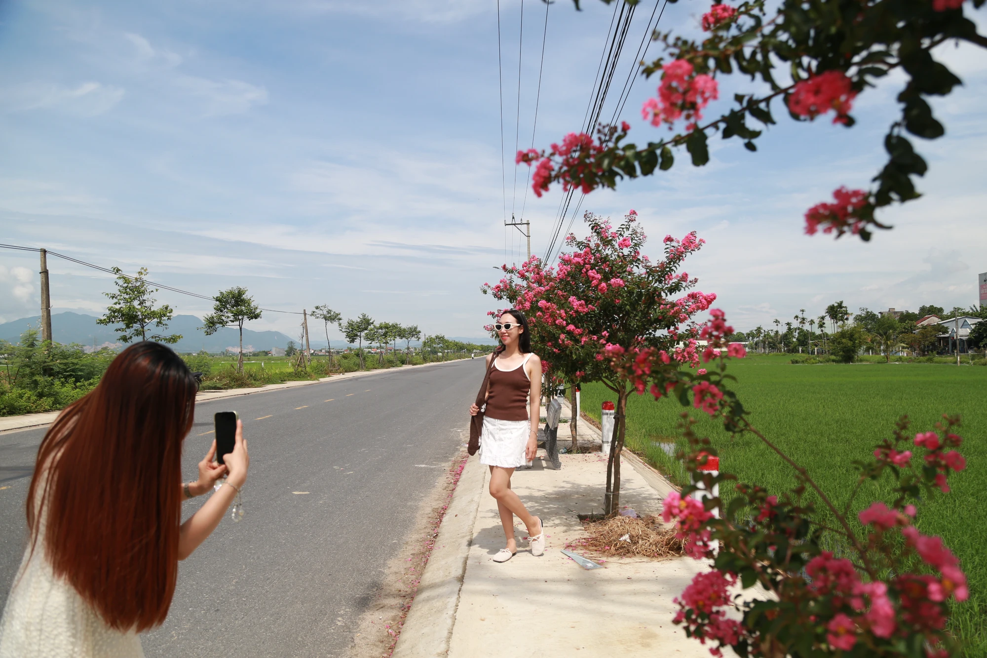 Tuong-vi-no-ro-nhuom-hong-duong-que-o-da-nang-21.JPG