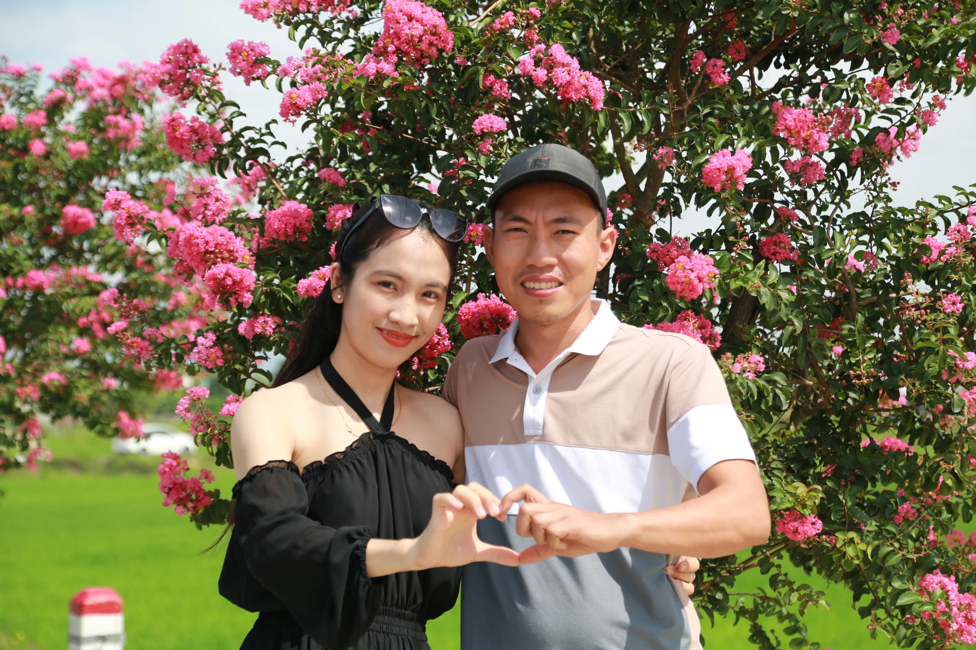Tuong-vi-no-ro-nhuom-hong-duong-que-o-da-nang-7.JPG