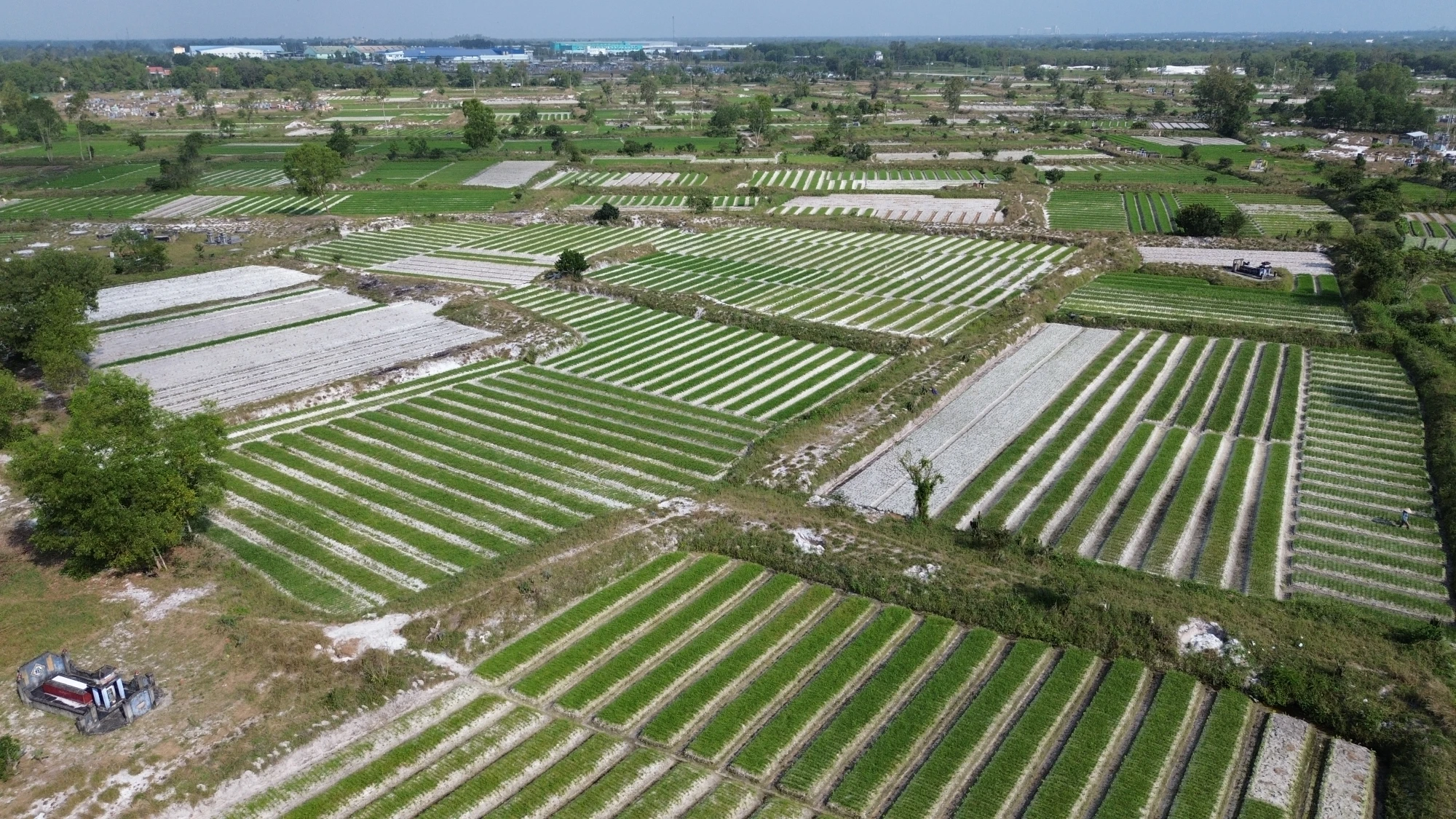 DJI_0827.JPG
