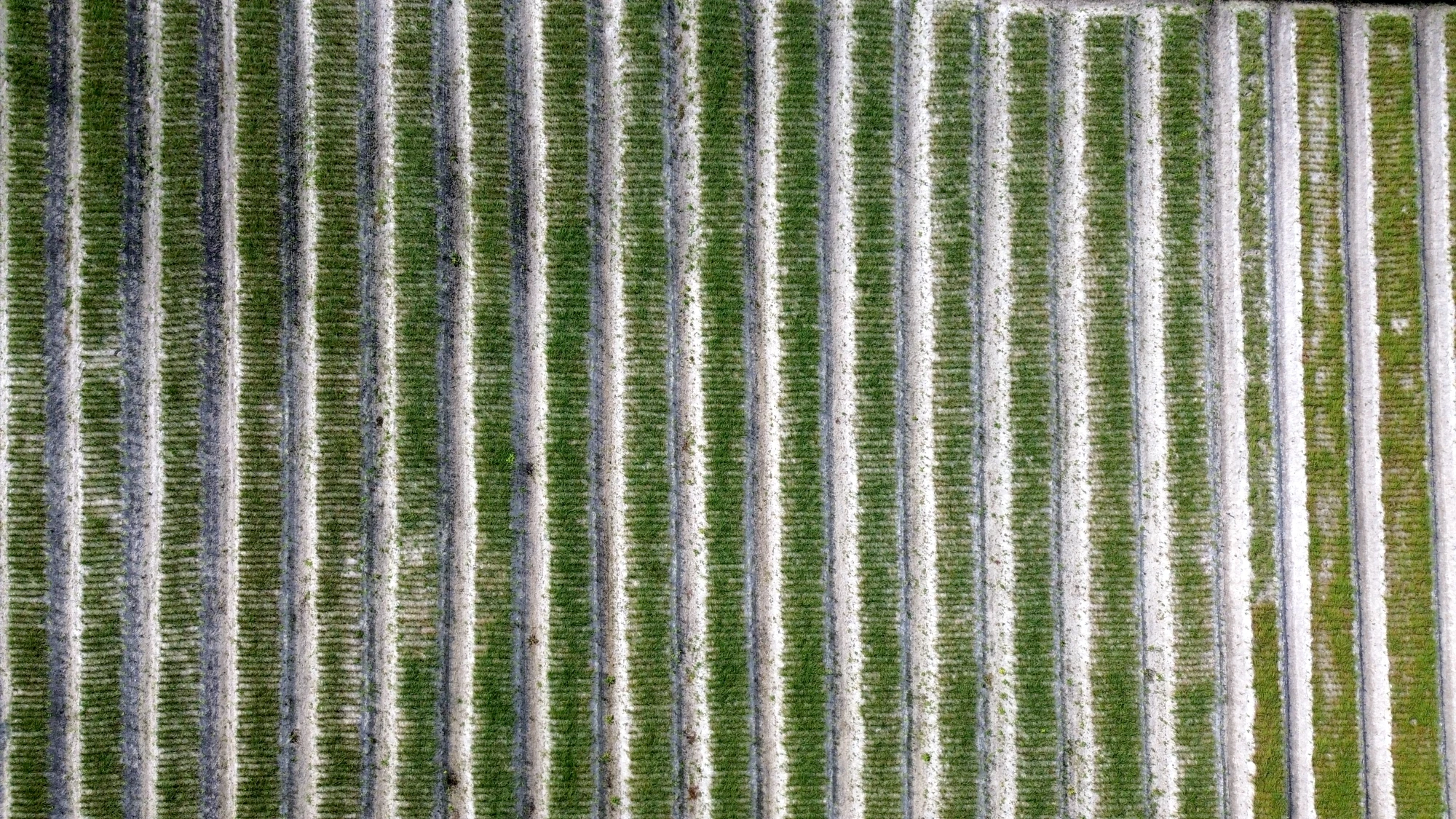 DJI_0839.JPG