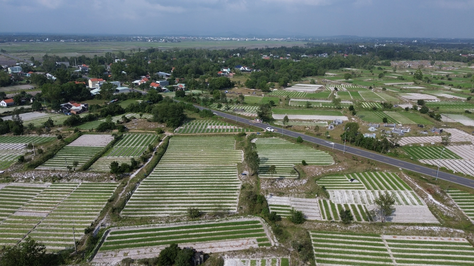 DJI_0850.JPG