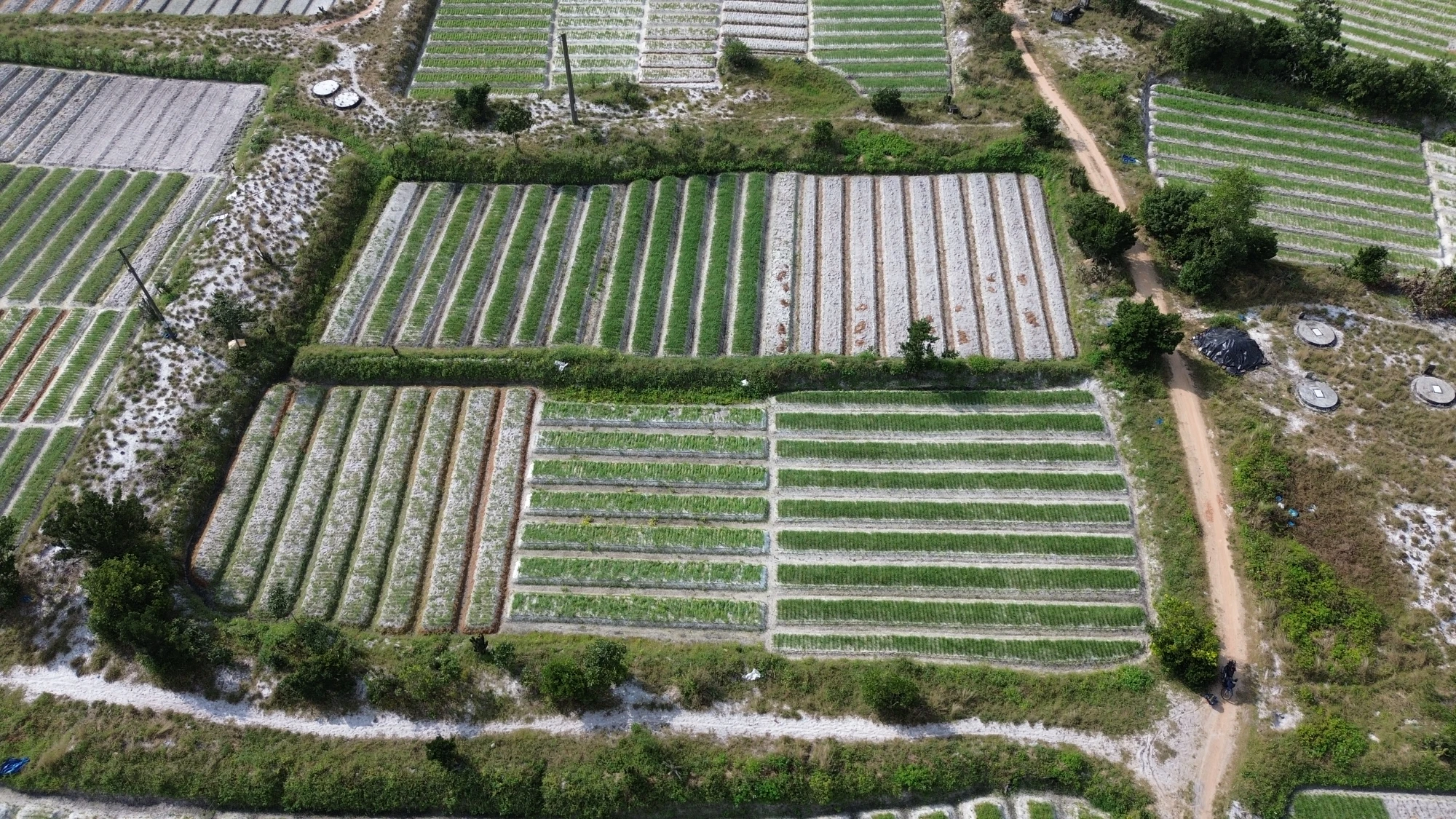 DJI_0858.JPG