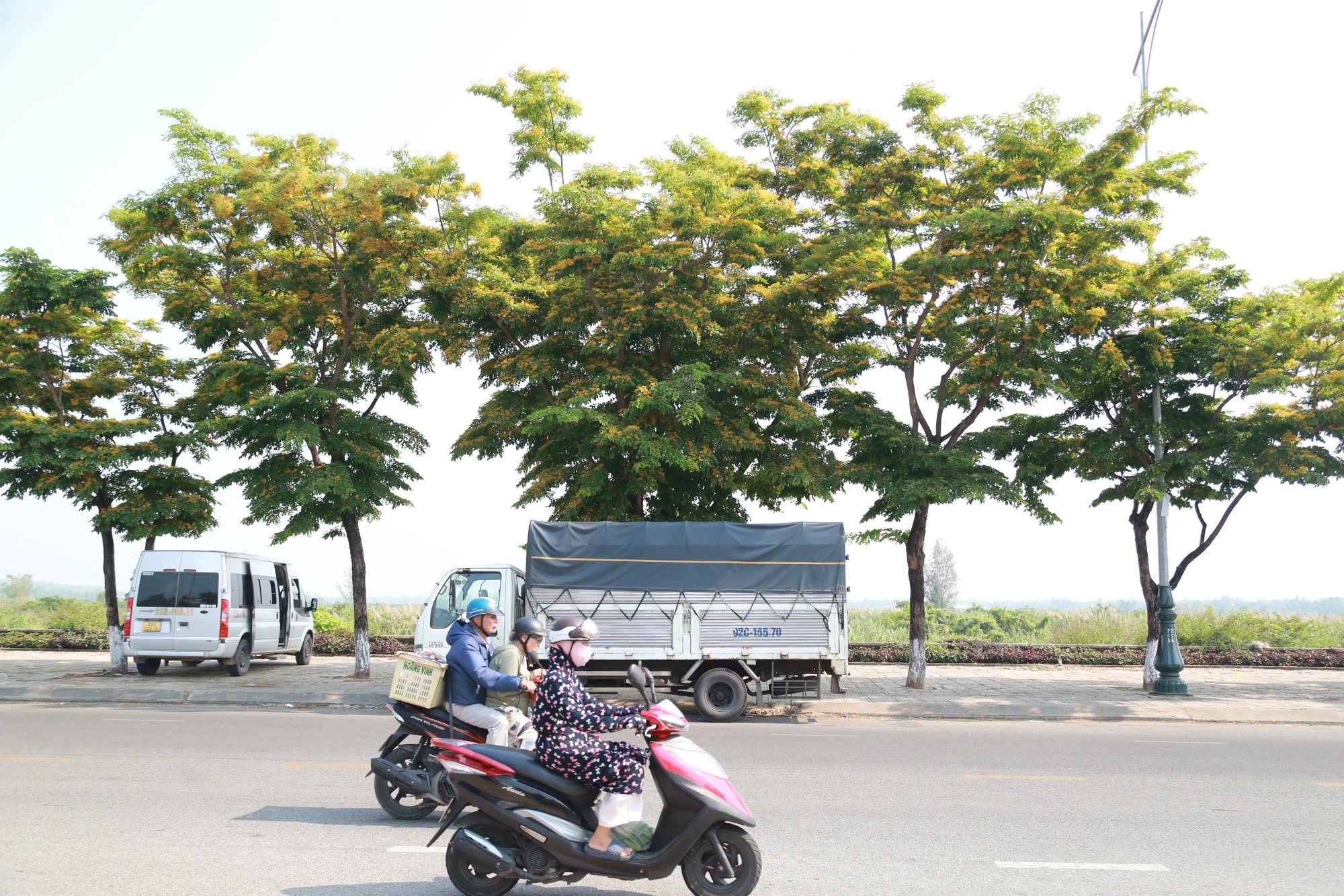 A30A6224.JPG