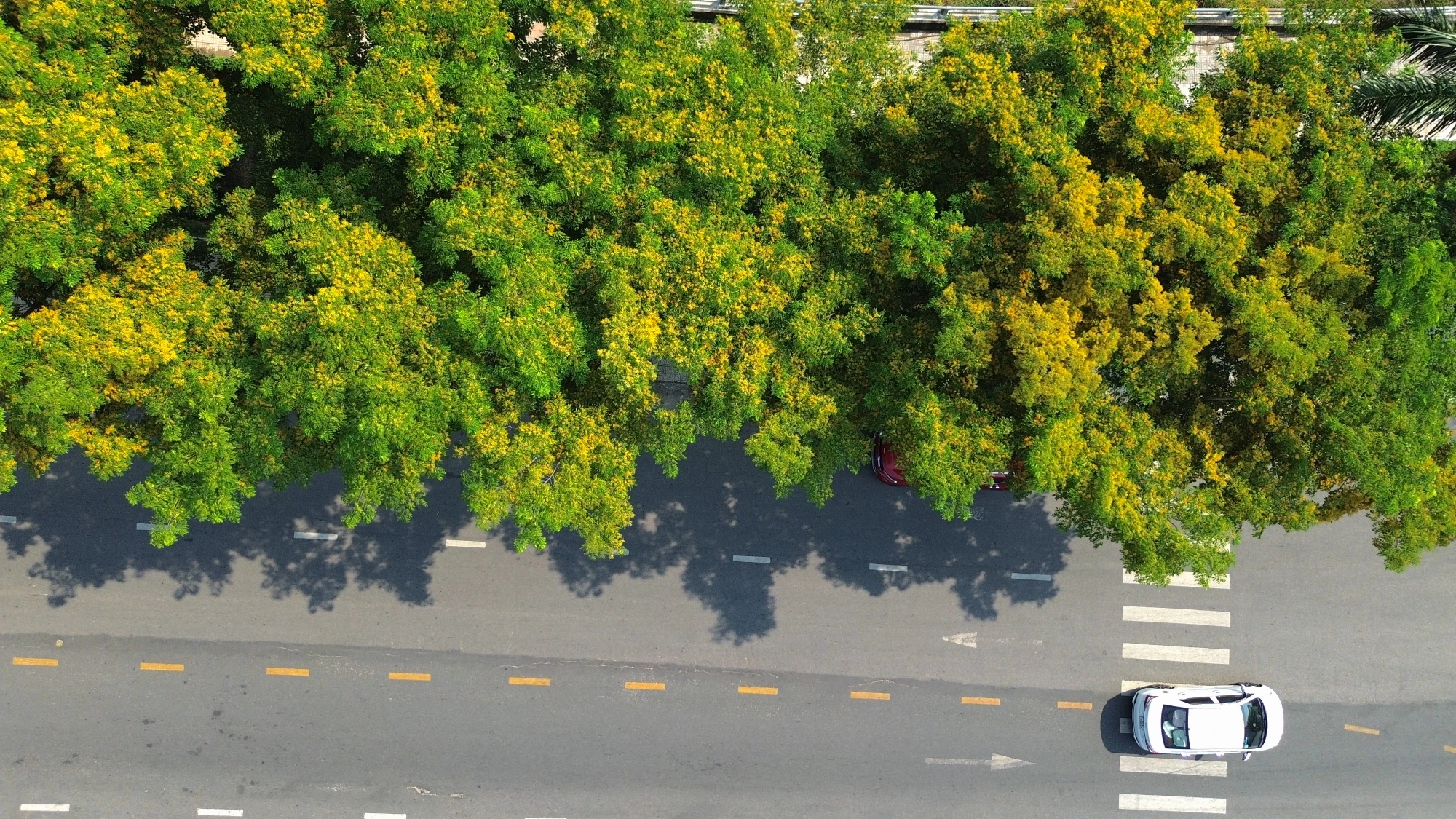 DJI_0070.JPG