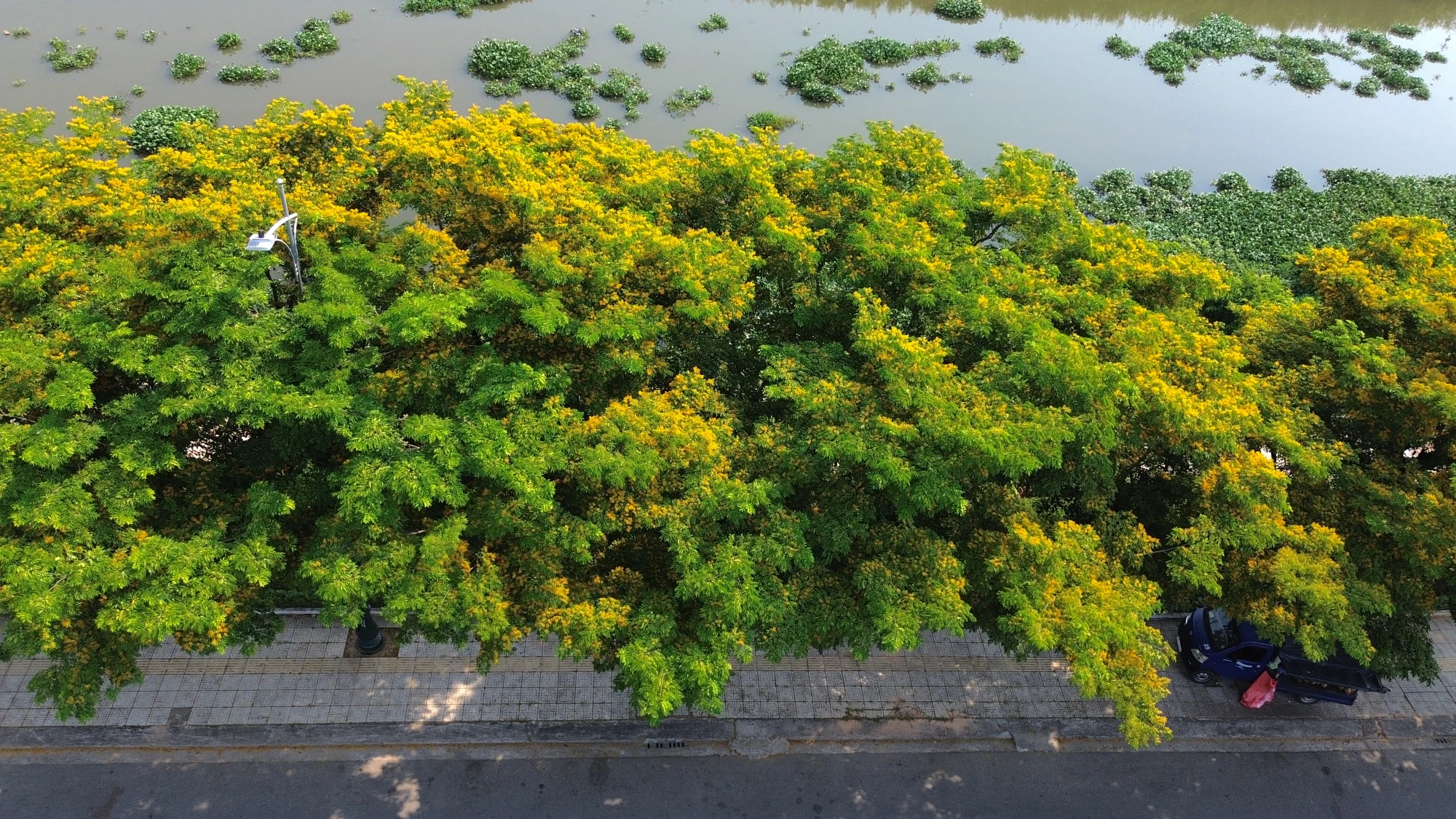 DJI_0092.JPG