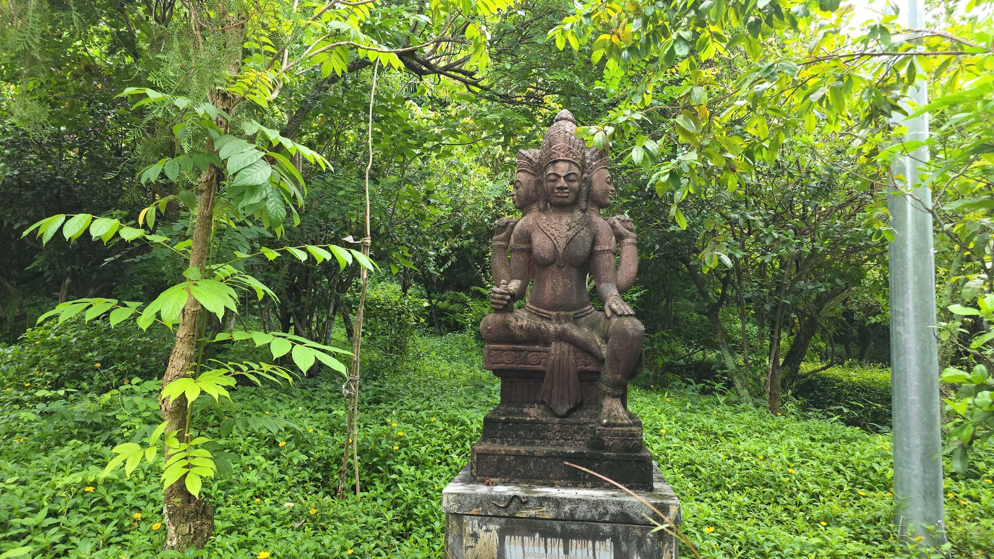 Th nhạn 11.jpg