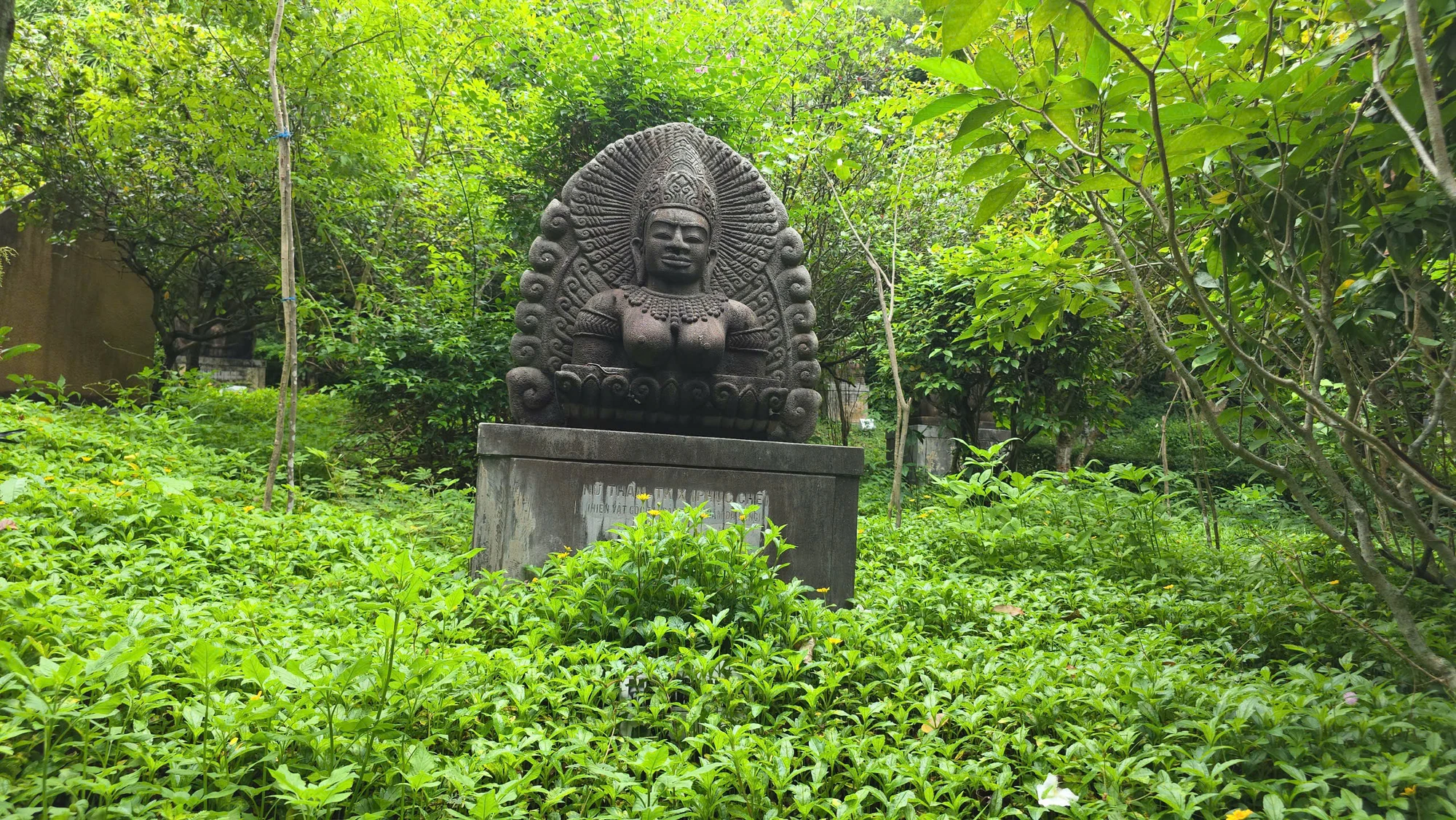 Th nhạn 12.jpg