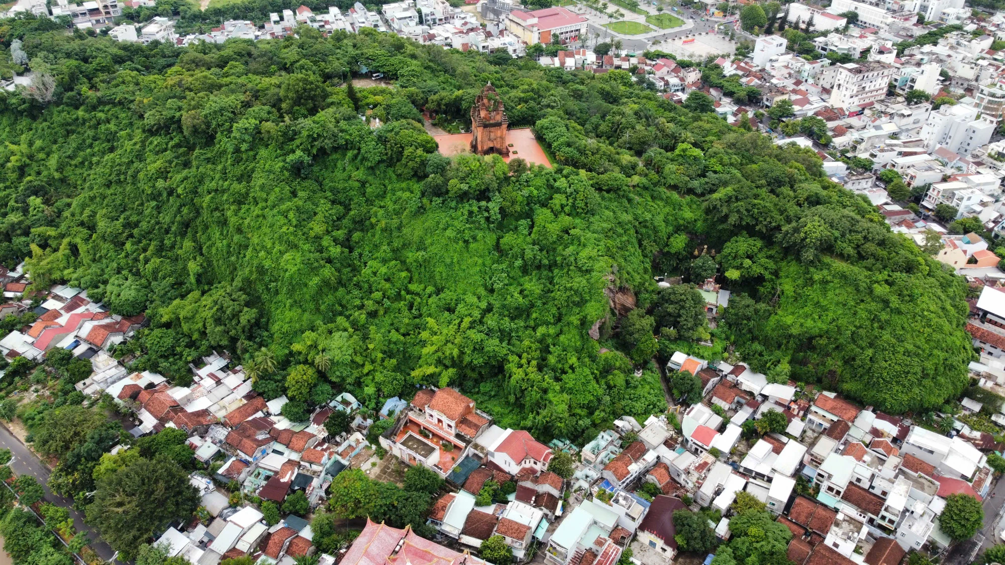 Tháp Nhạn 13.jpg