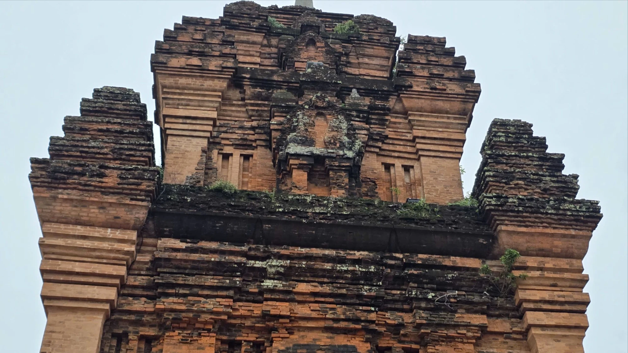 Tháp Nhạn 8.jpg