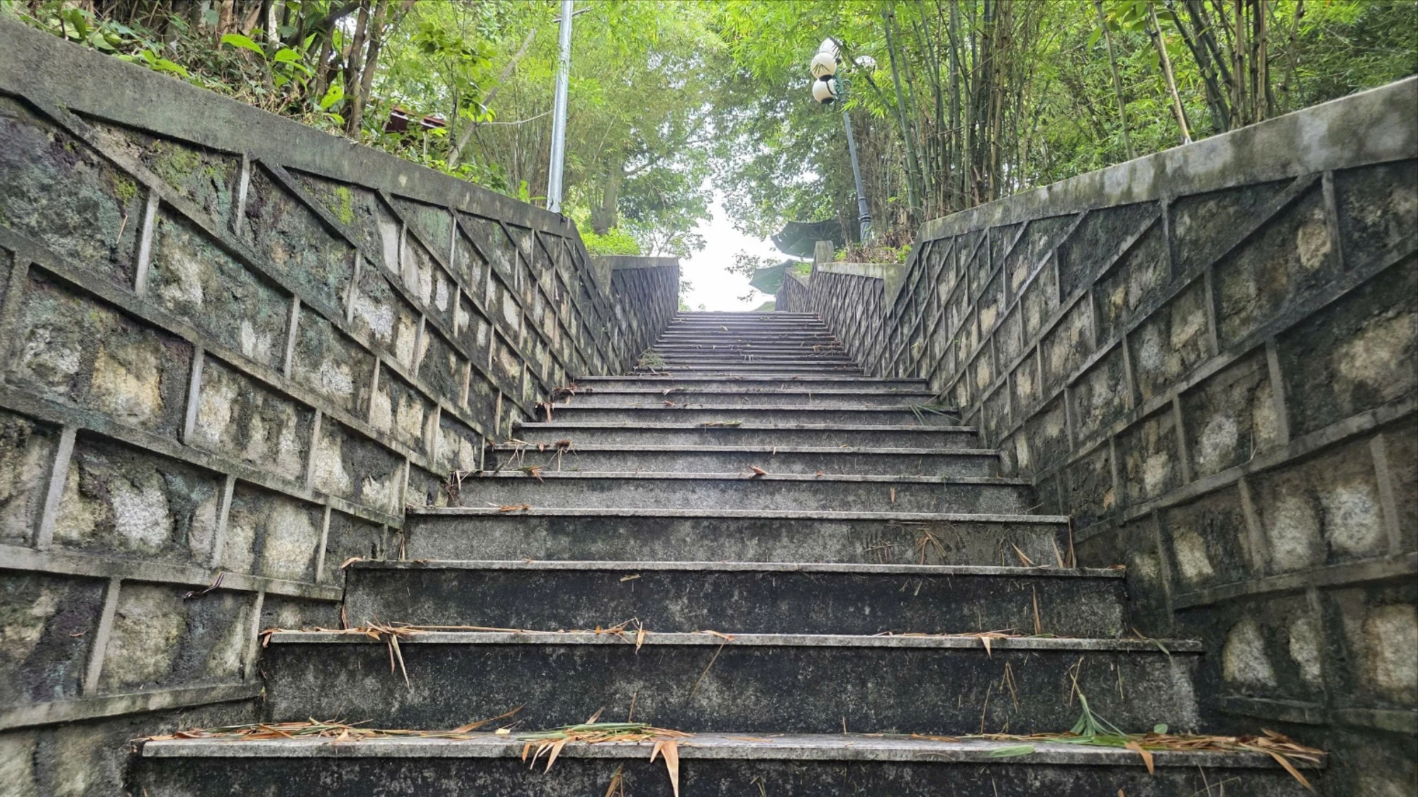 Tháp Nhạn 9.jpg