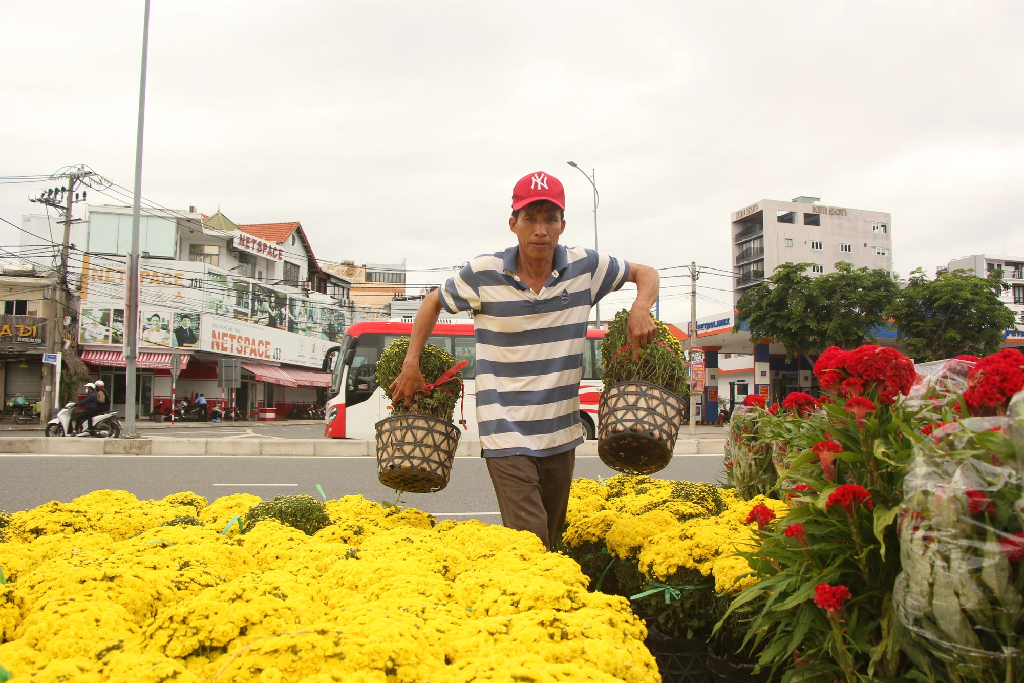 Đà Nẵng: Thời tiết thất thường, hoa tết khan hiếm ảnh 7 Đà Nẵng: Thời tiết thất thường, hoa tết khan hiếm ảnh 7