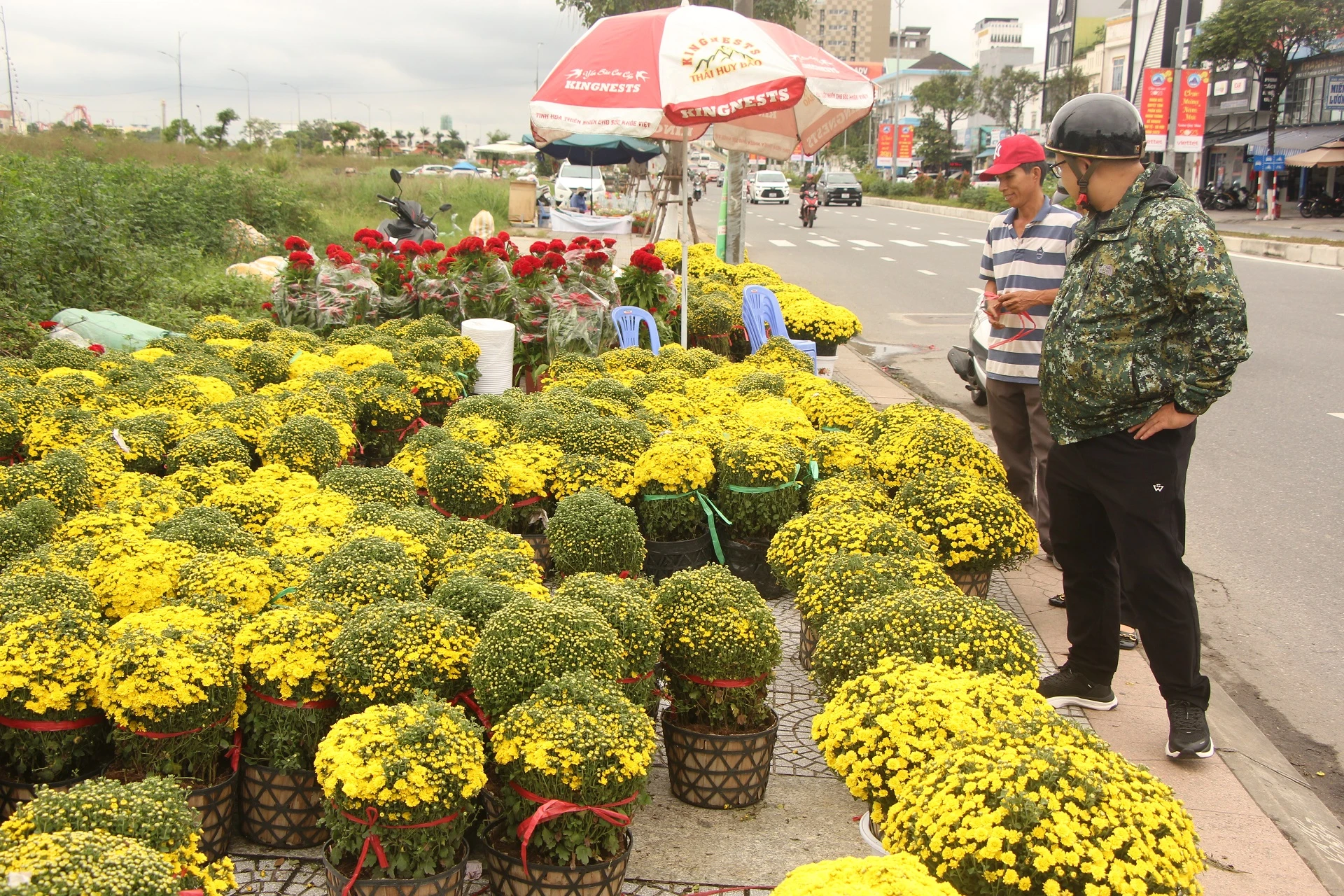 Đà Nẵng: Thời tiết thất thường, hoa tết khan hiếm ảnh 6 Đà Nẵng: Thời tiết thất thường, hoa tết khan hiếm ảnh 6