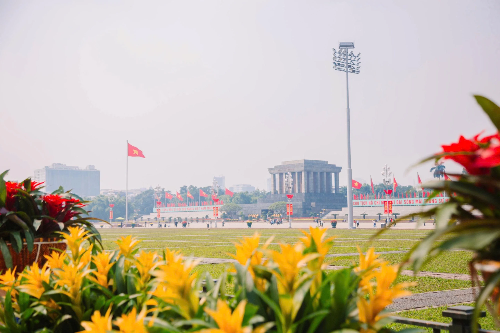 daịhoi-15.jpg