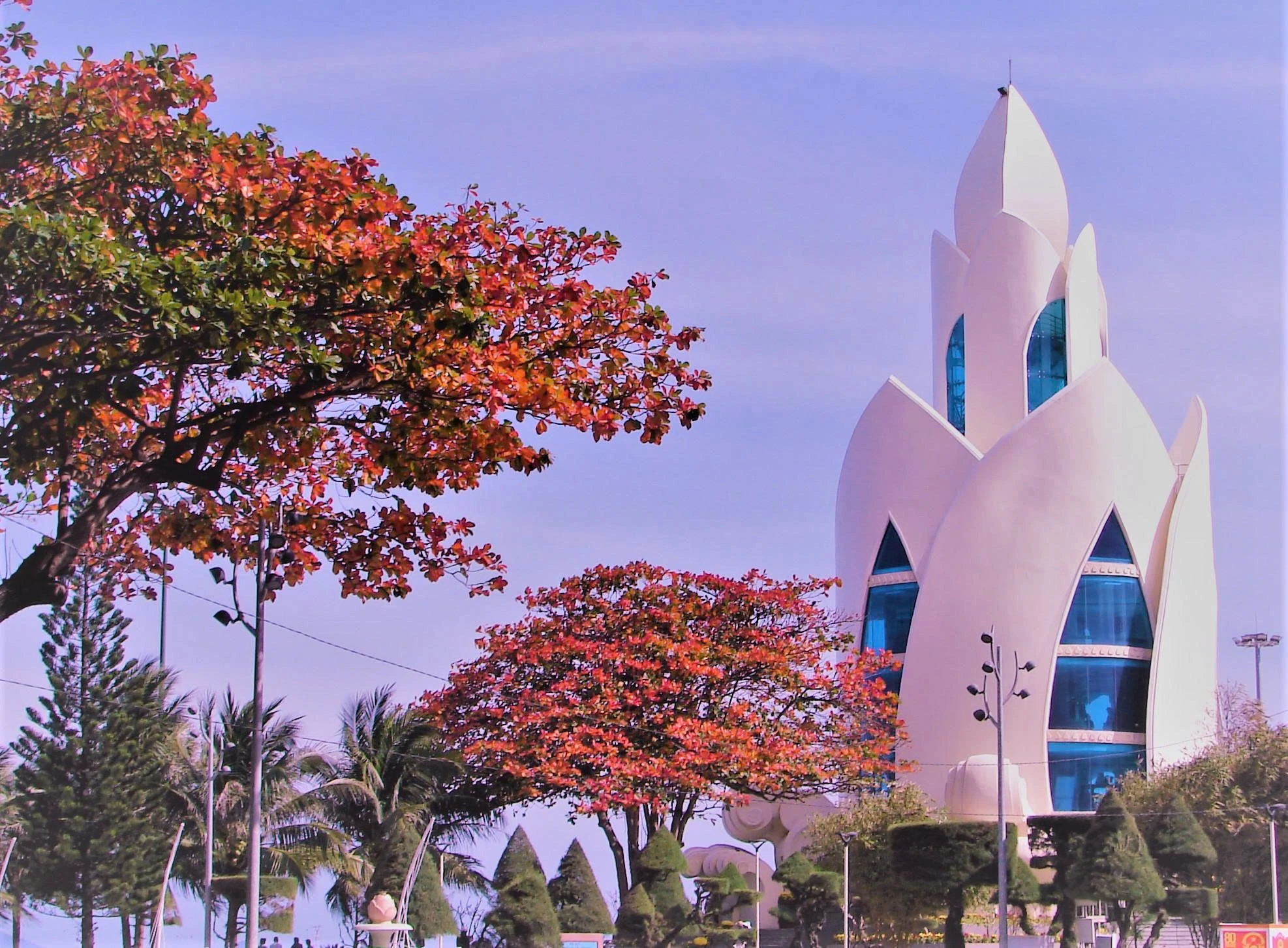 Nha Trang nắng ngập tràn, bàng thay lá ngày cuối năm