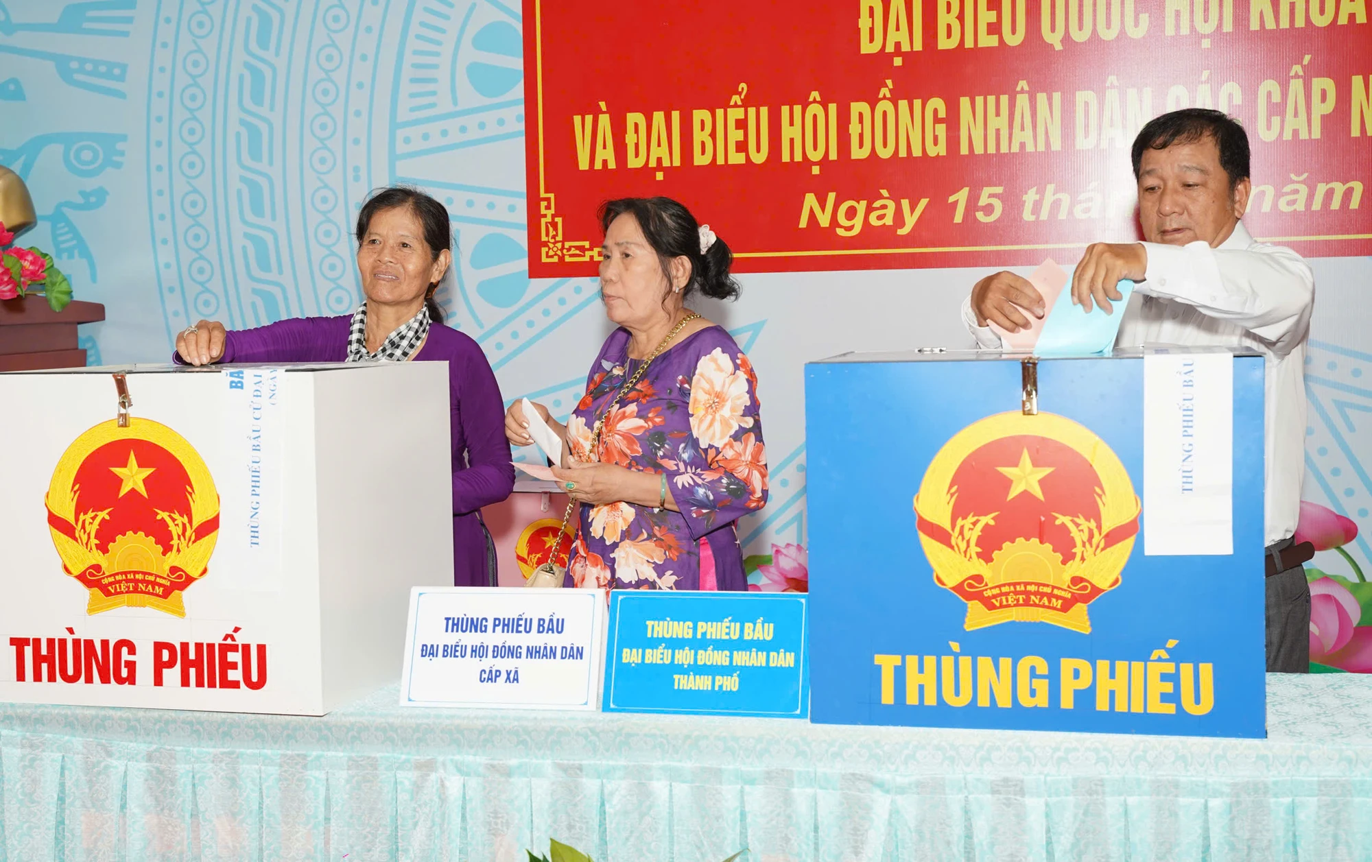 chum-anh-bau-cu-tphcm 13.jpg