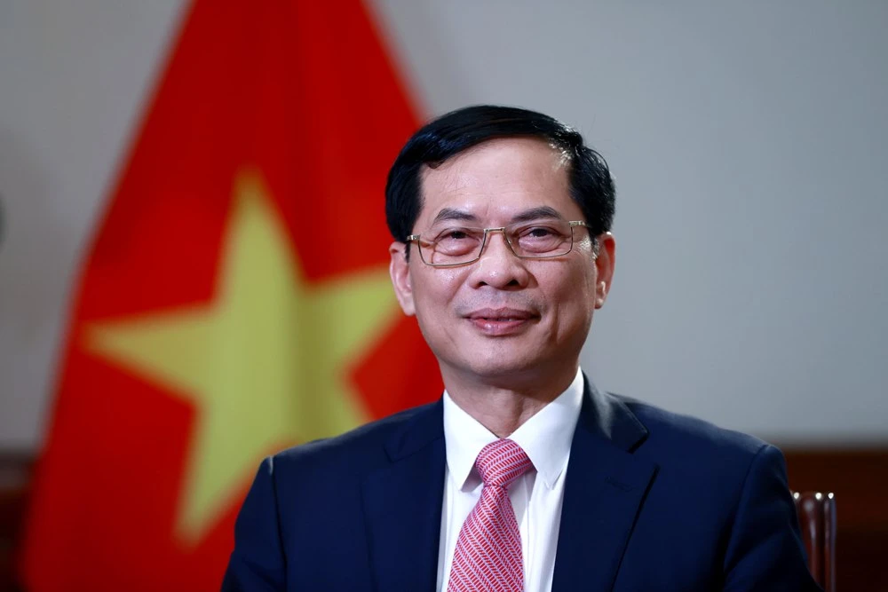 bo-truong-ngoai-giao-bui-thanh-son-phan-tich-ve-y-nghia-cua-ngoai-giao-cay-tre-1122.jpg