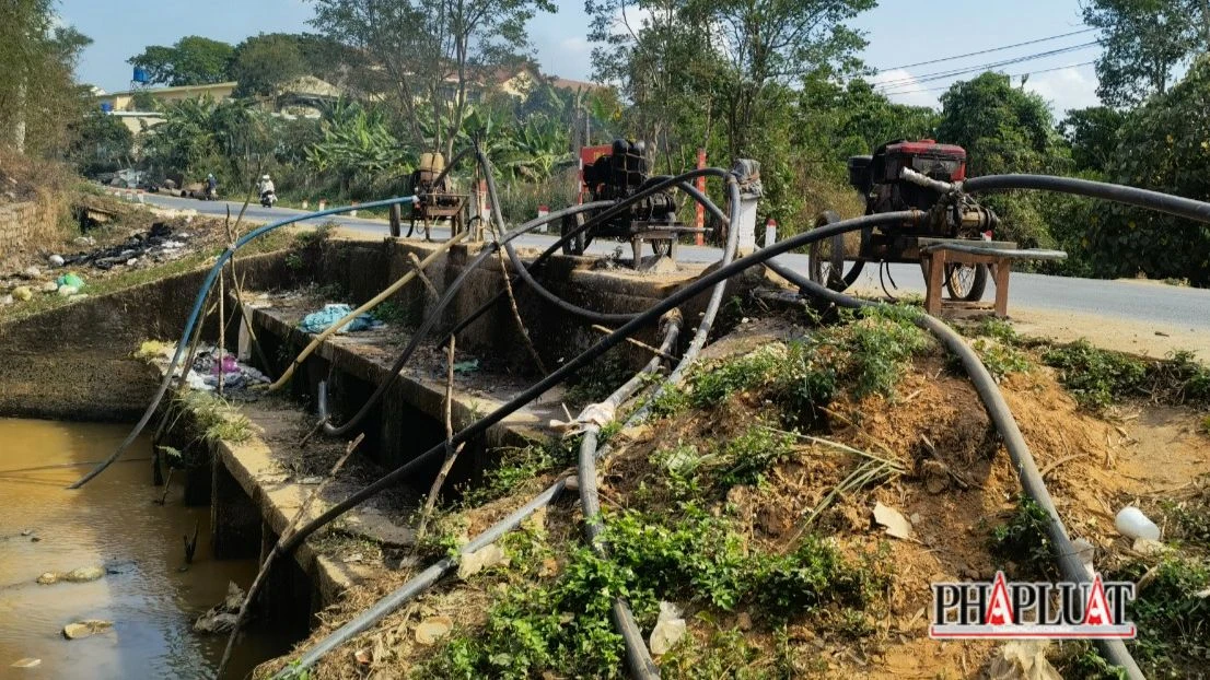khô hạn ở tỉnh Lâm Đồng