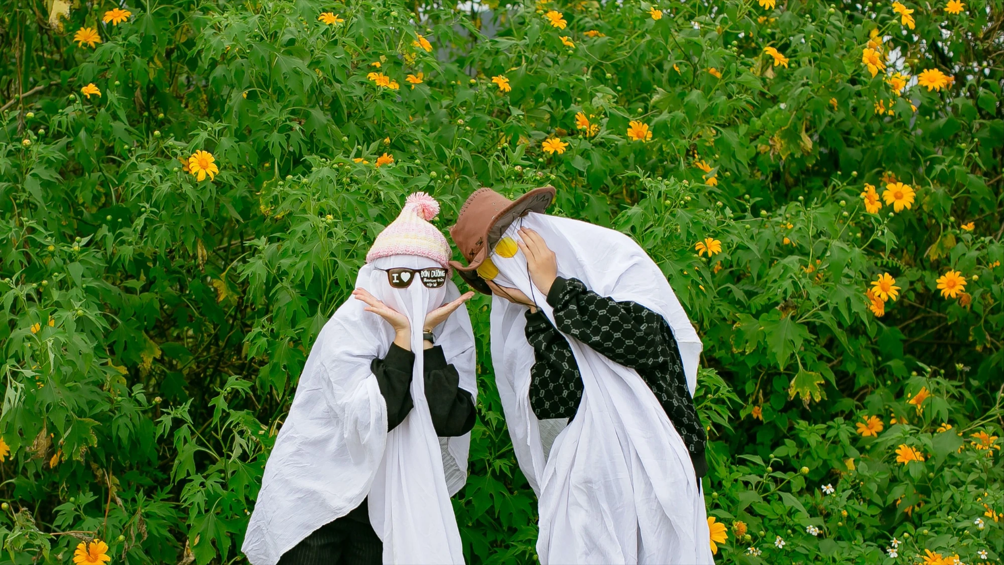 Dã quỳ-2