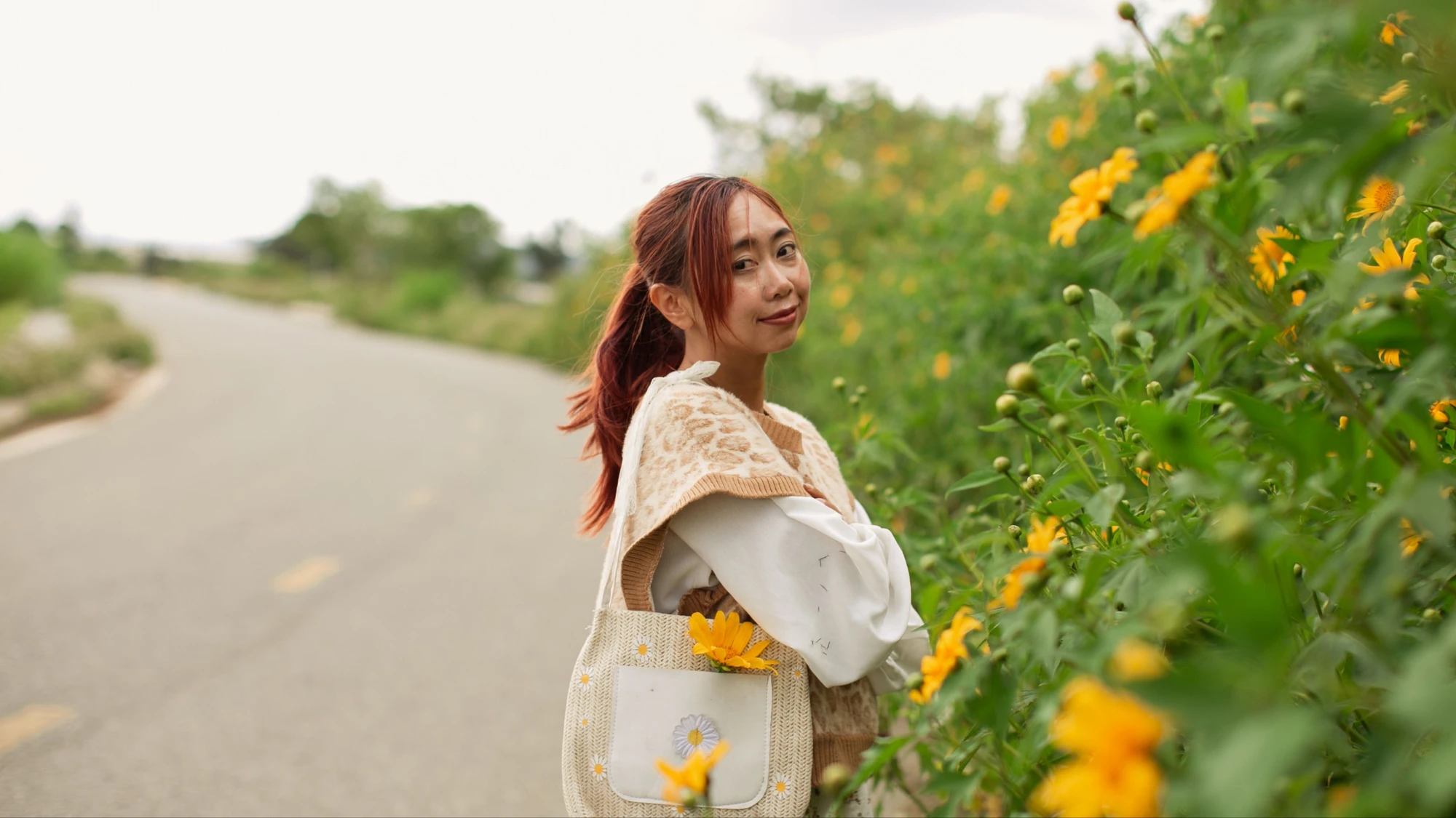 Dã quỳ-1