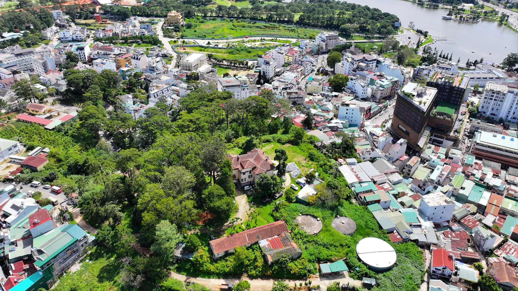 dinh-tinh-truong-1.jpeg
