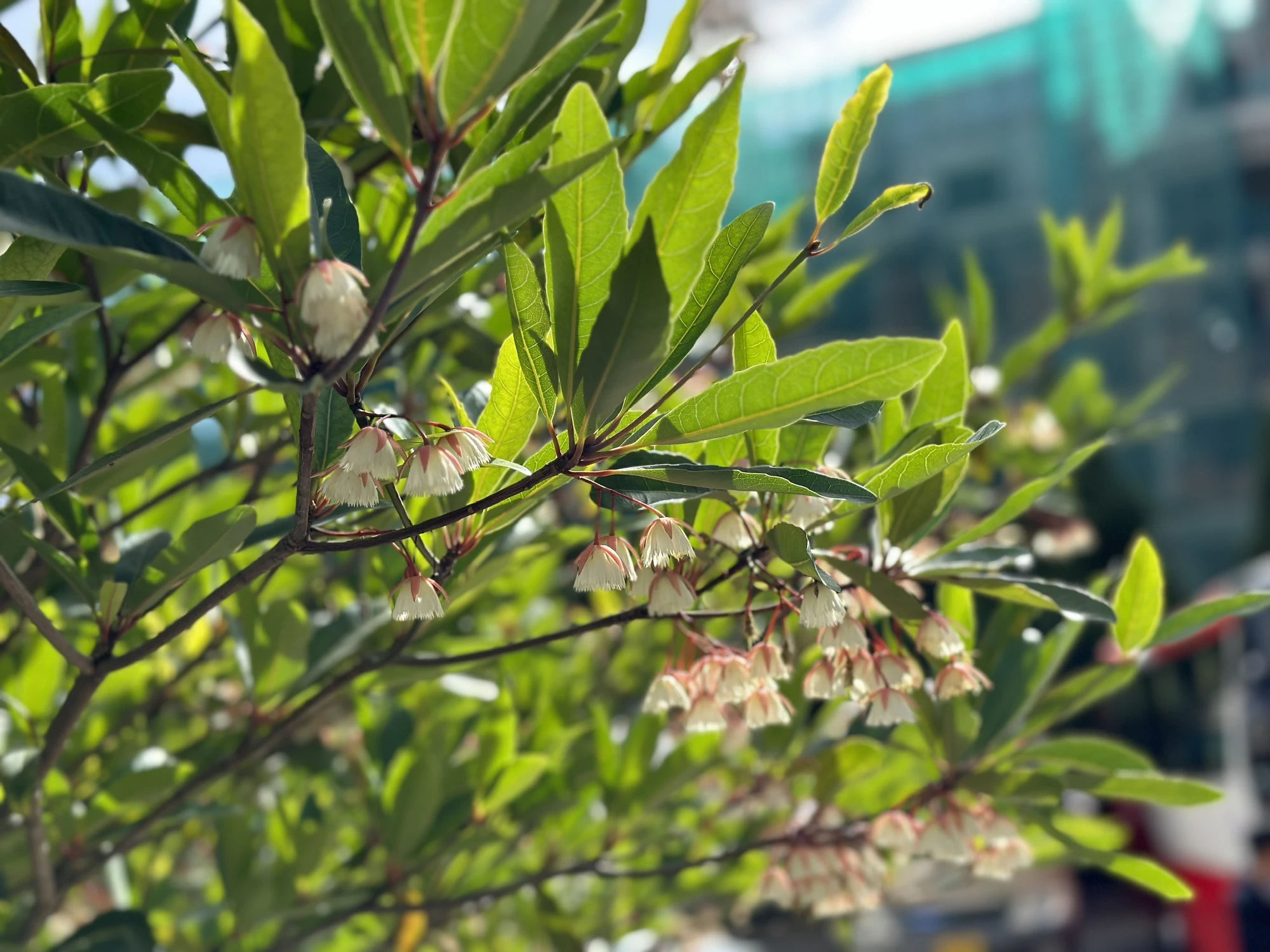 com-nuoc-8.jpg