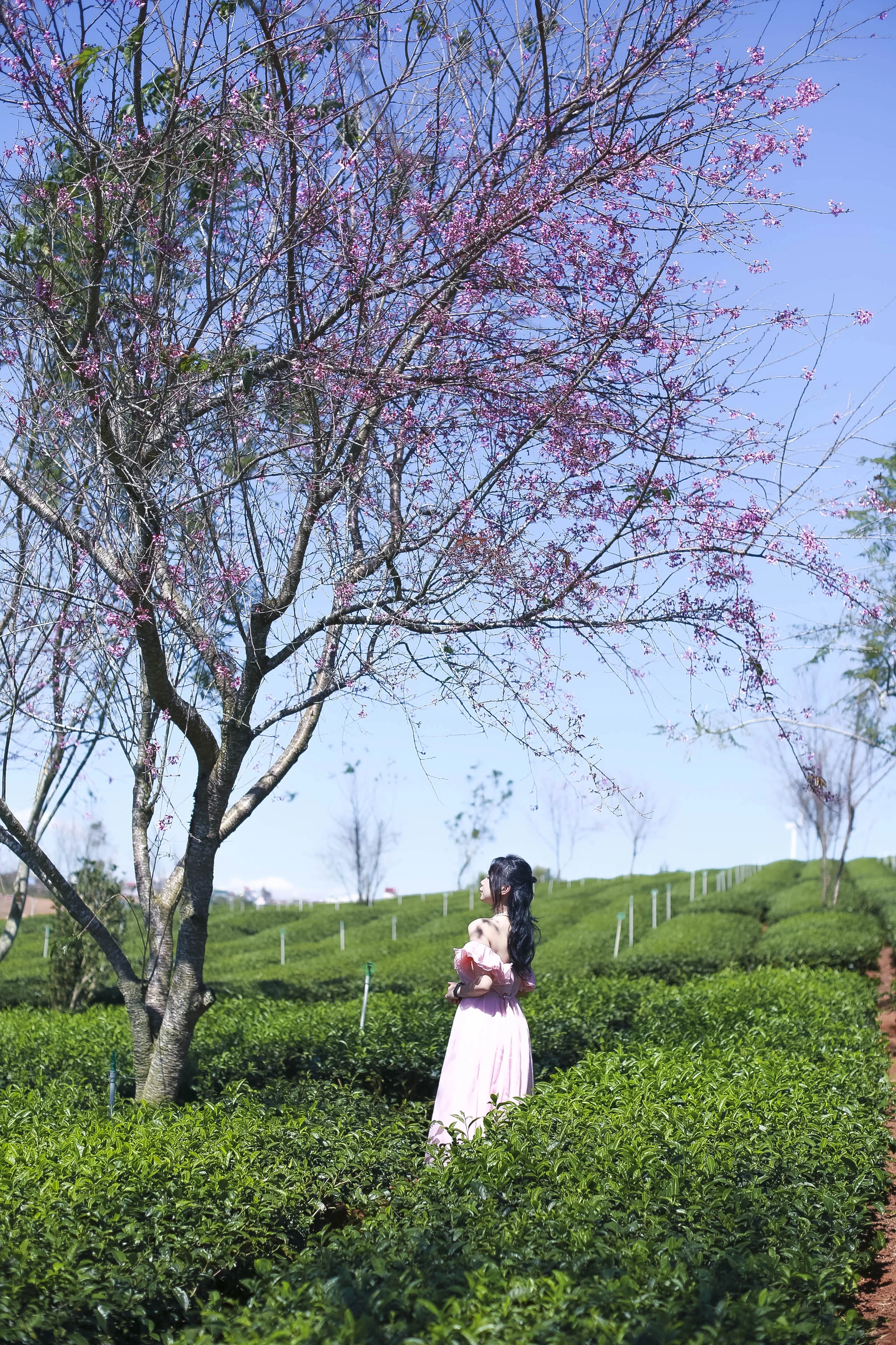 mai-anh-dao-5.jpg