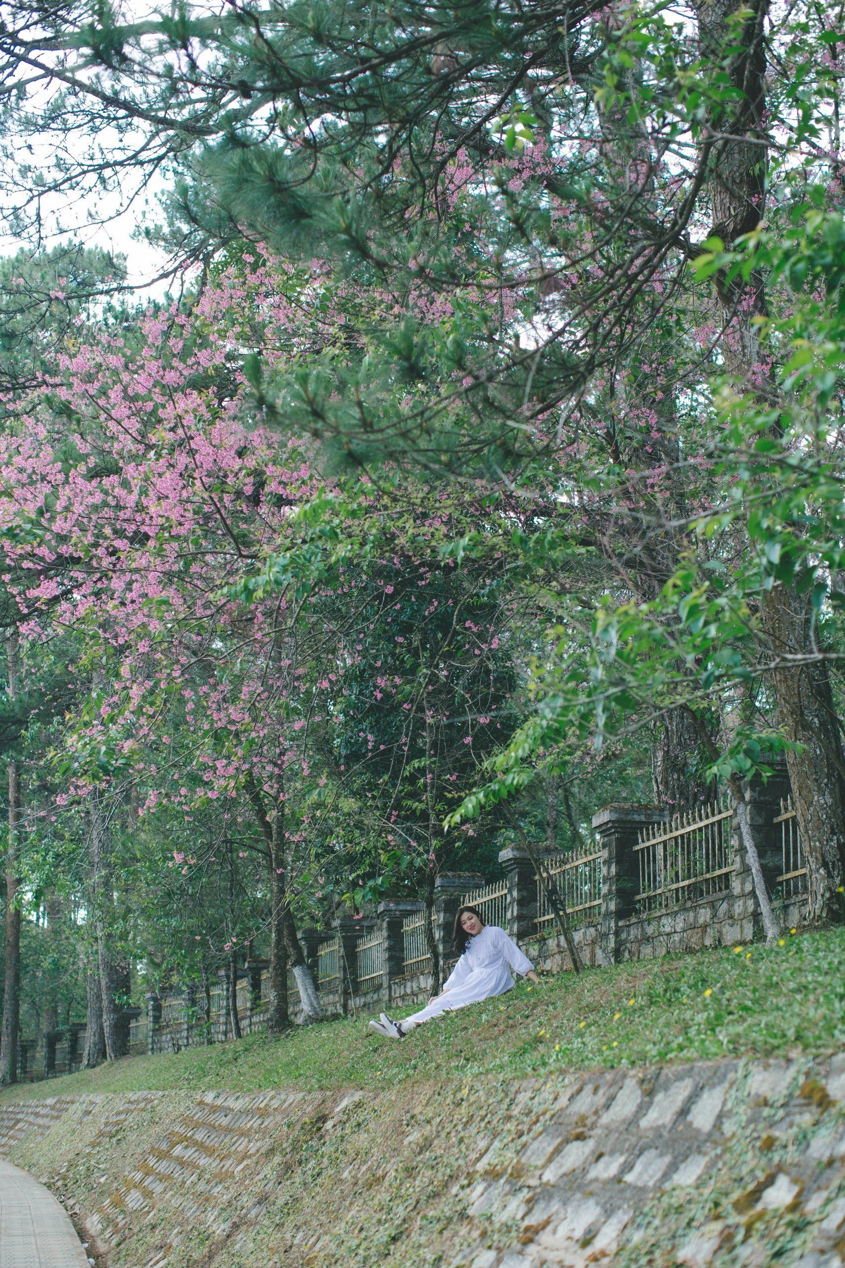 mai-anh-dao-7.jpg
