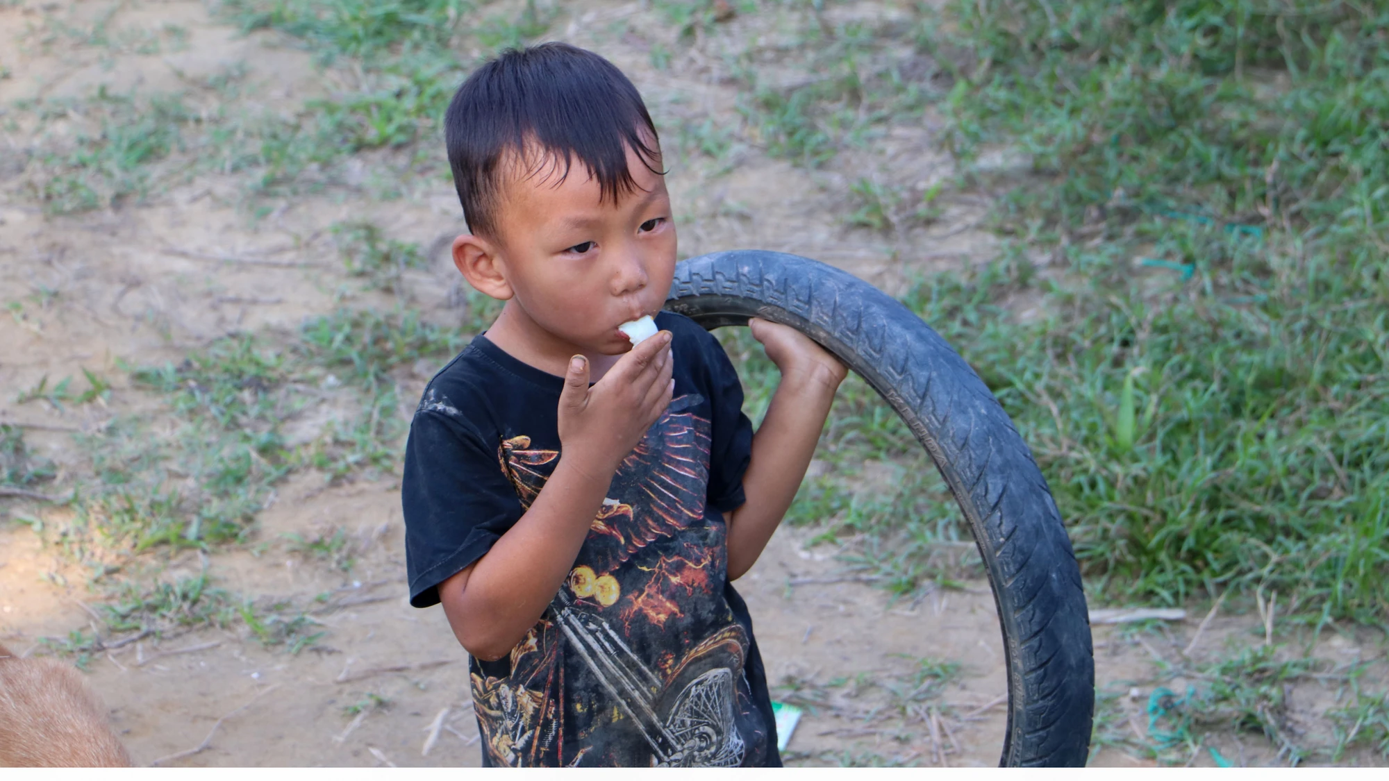 thon-kho-vang-3.jpg