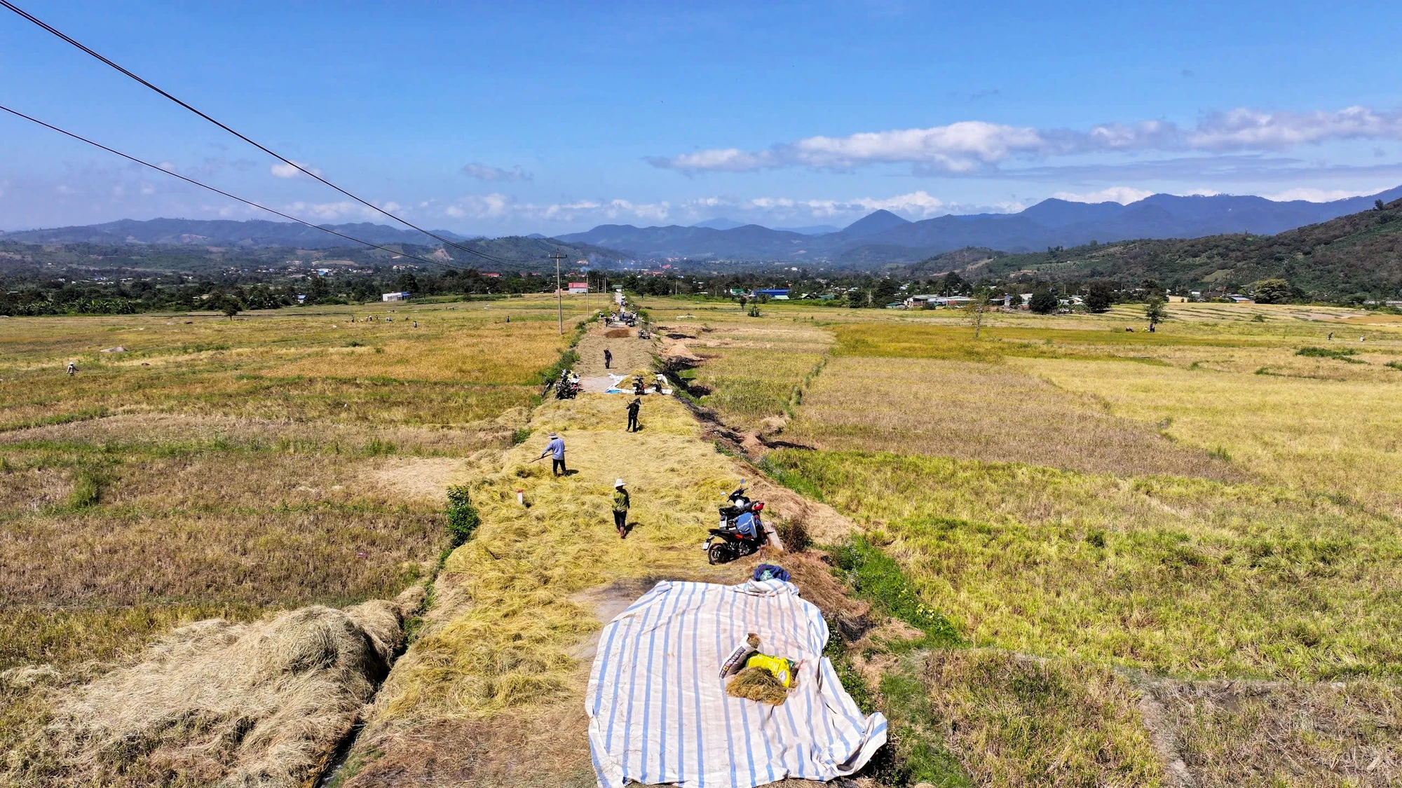 huyen-dam-rong-1.jpg