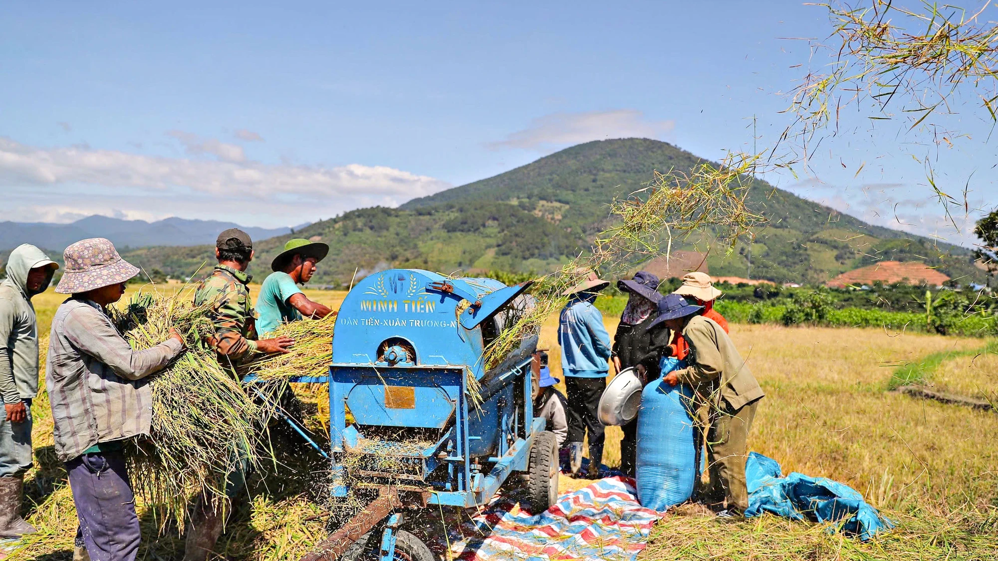 huyen-dam-rong-15.jpg