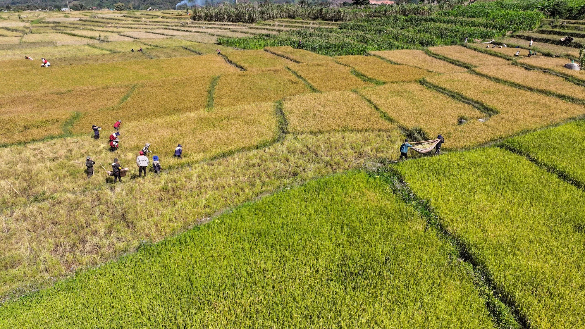 huyen-dam-rong-2.jpg