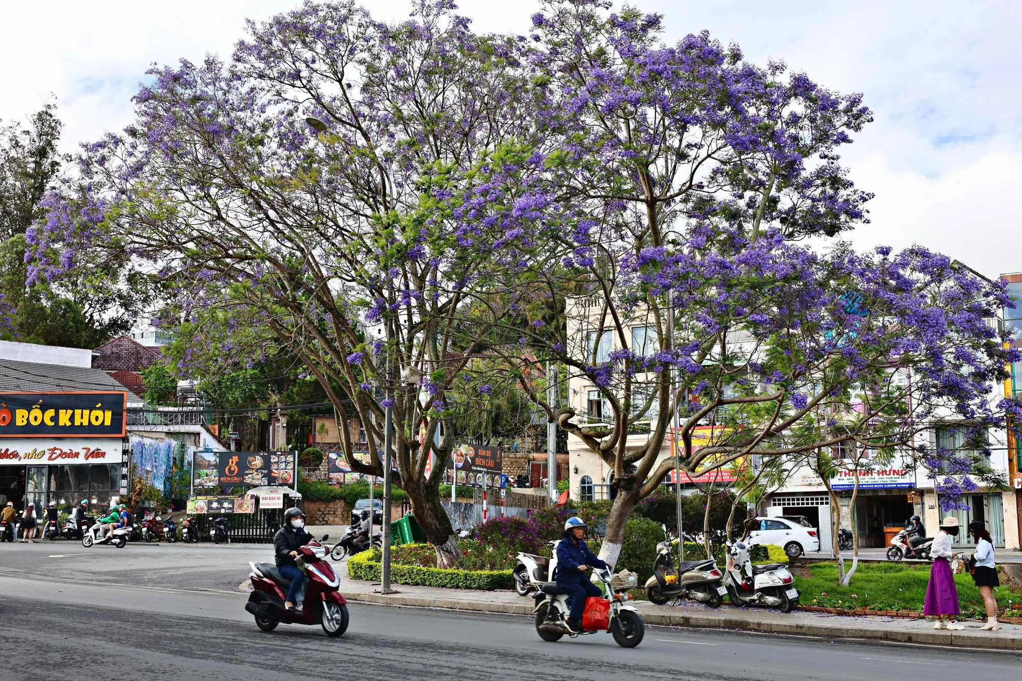 da-lat-3.jpg