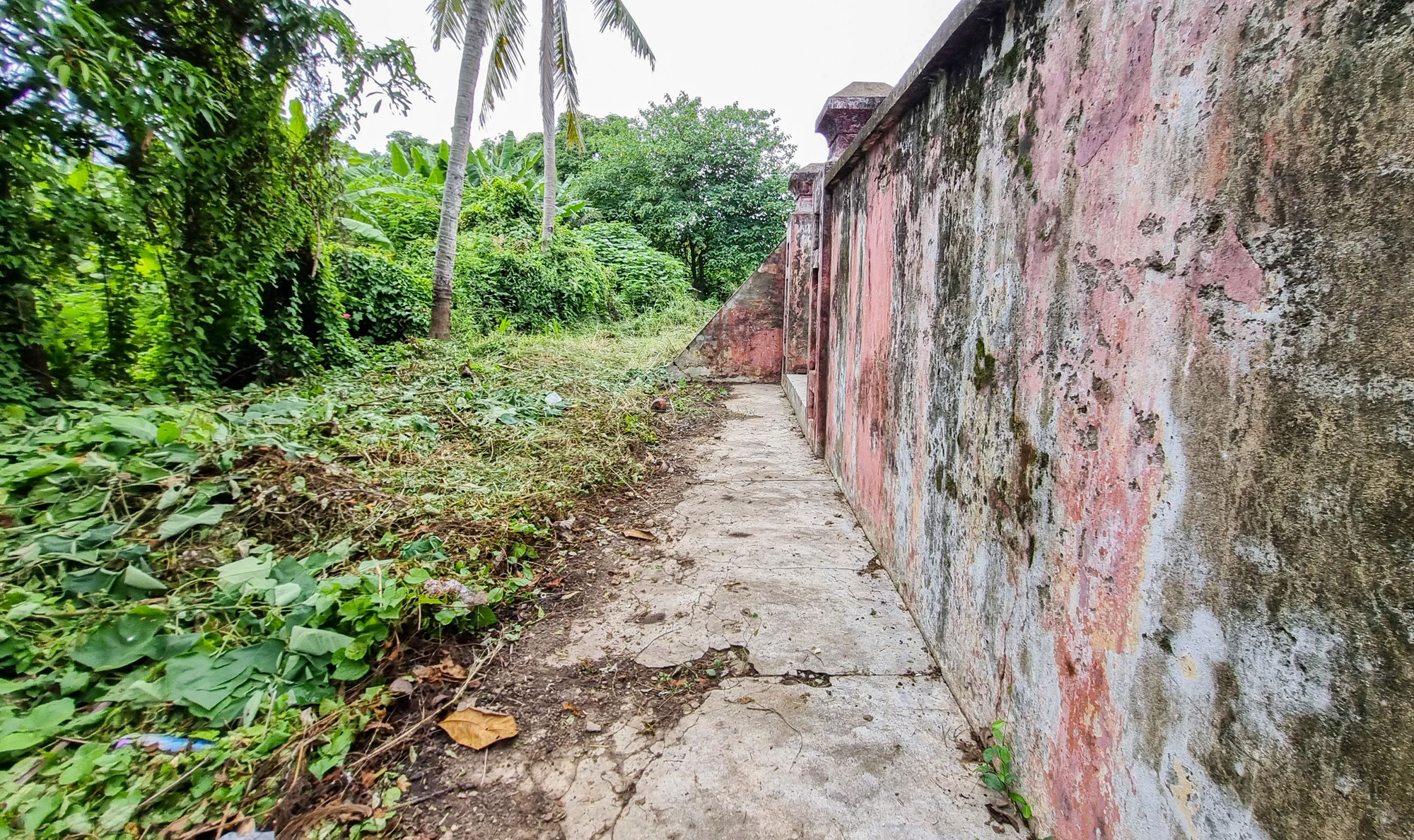 20231112_110616.jpg