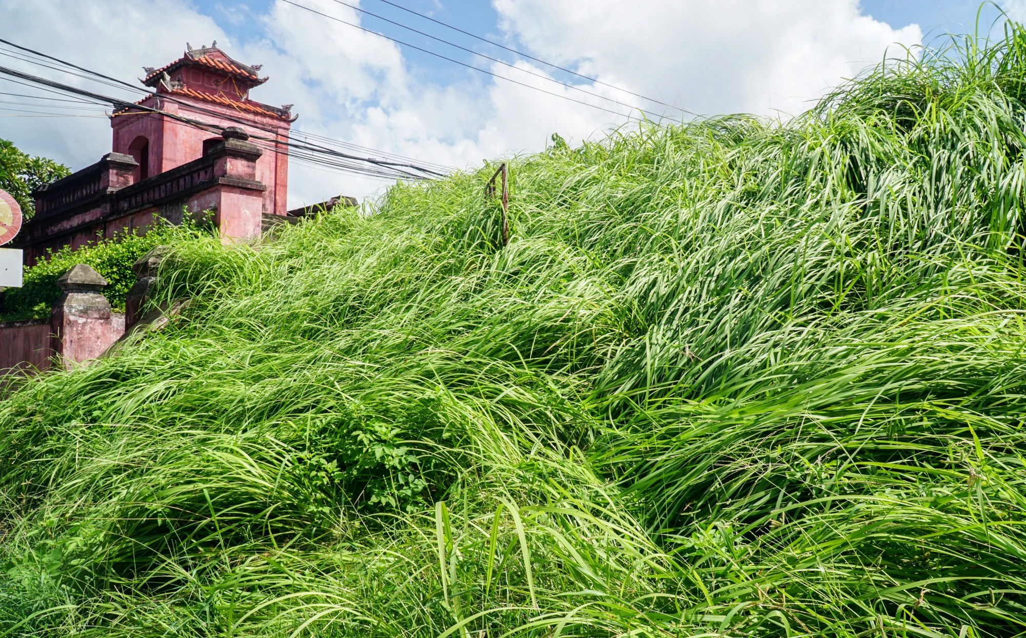 Ảnh3-thanhcoDienKhanh.jpg