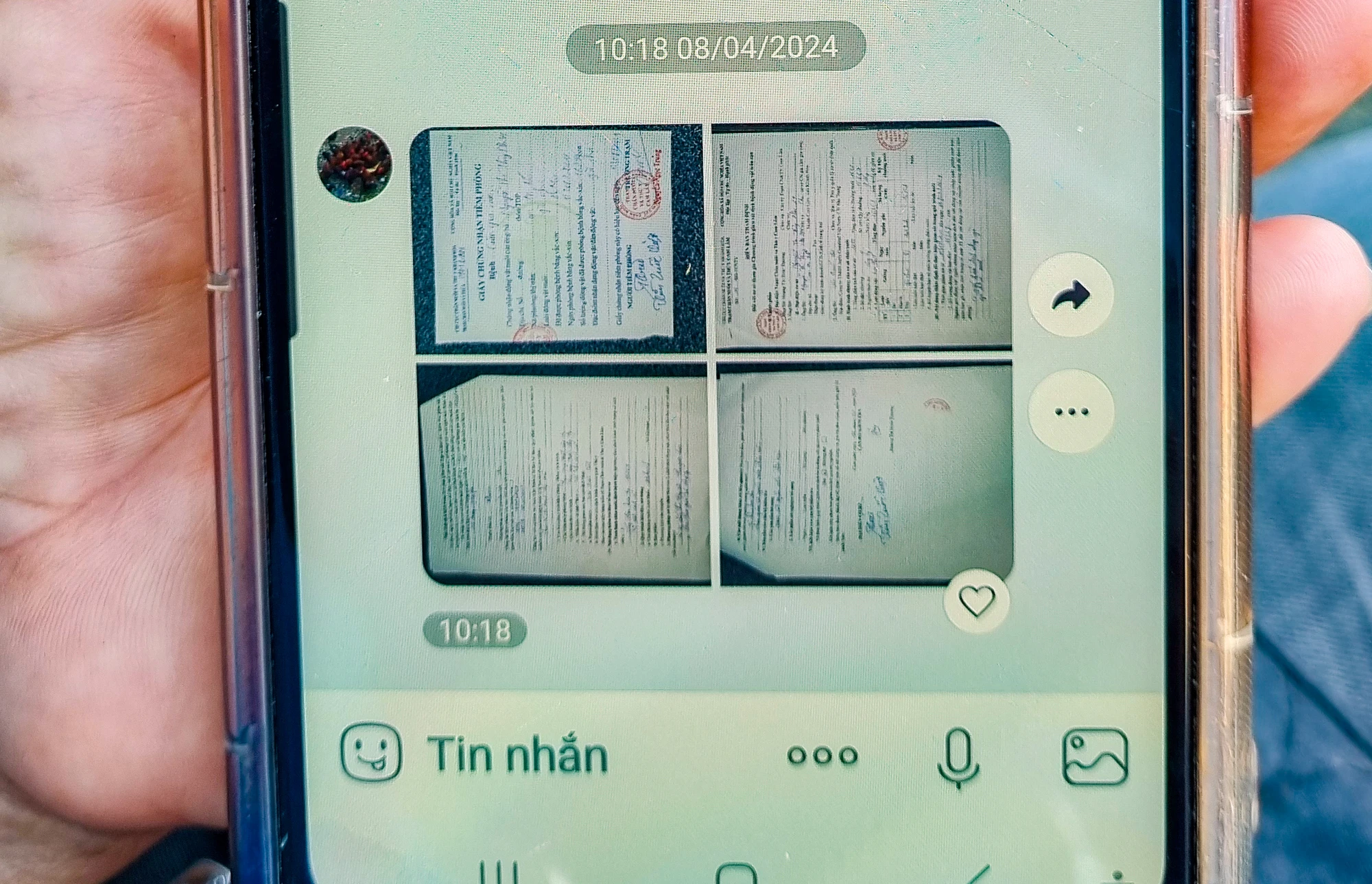 H6.jpg