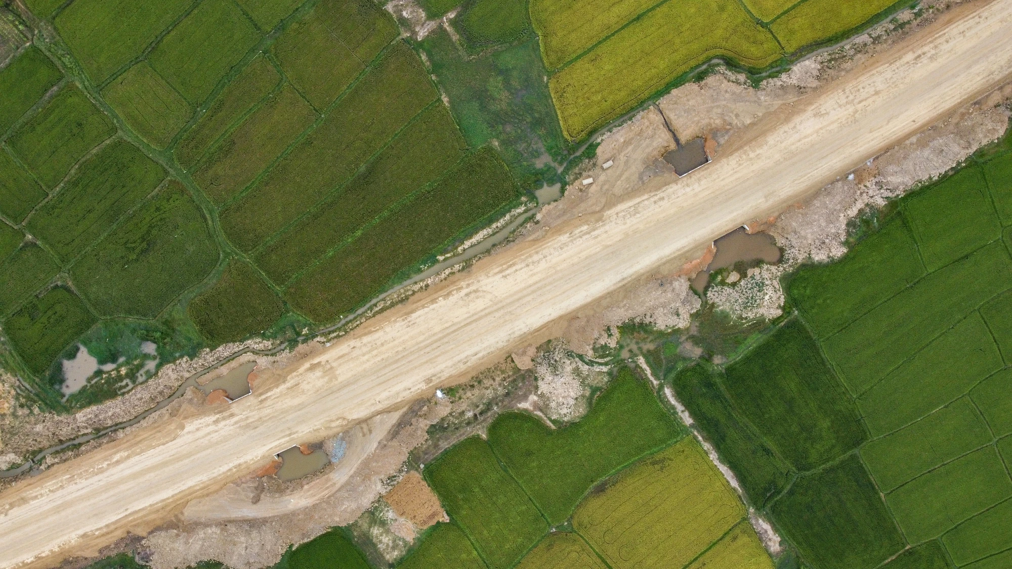 DJI_0128.jpg