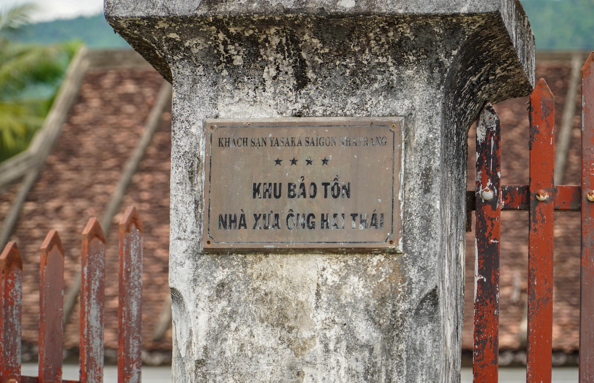 DTH08395.jpg