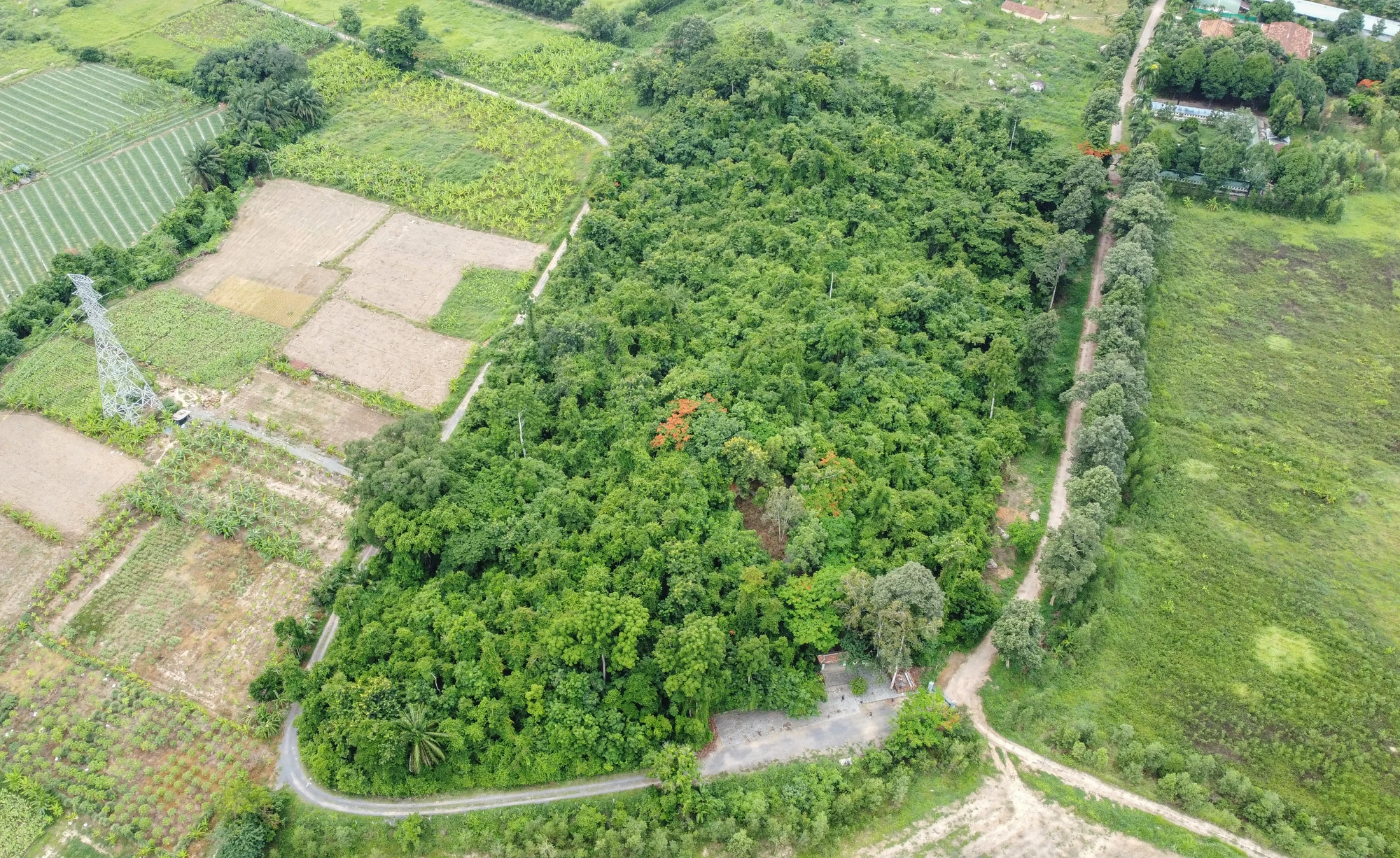 DJI_0143.jpg