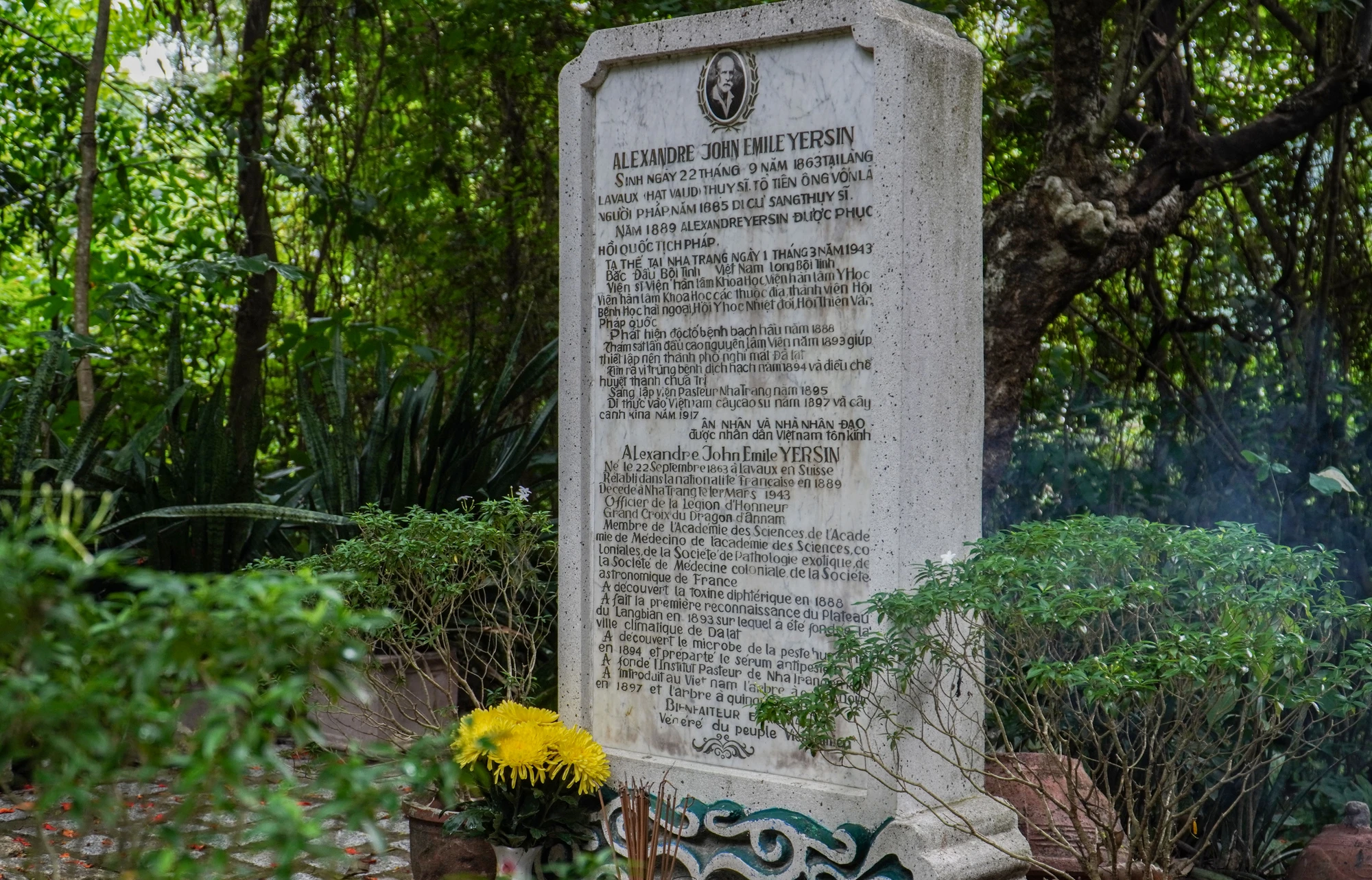 DTH02021.jpg