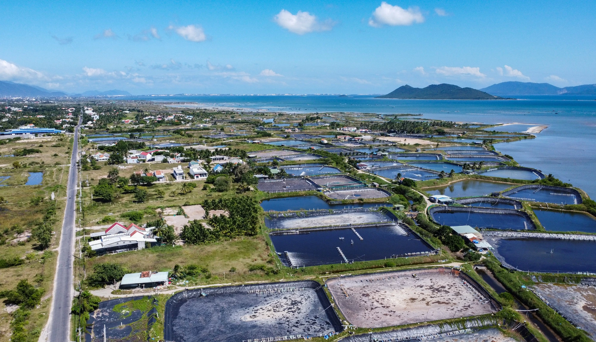 DJI_0770.jpg