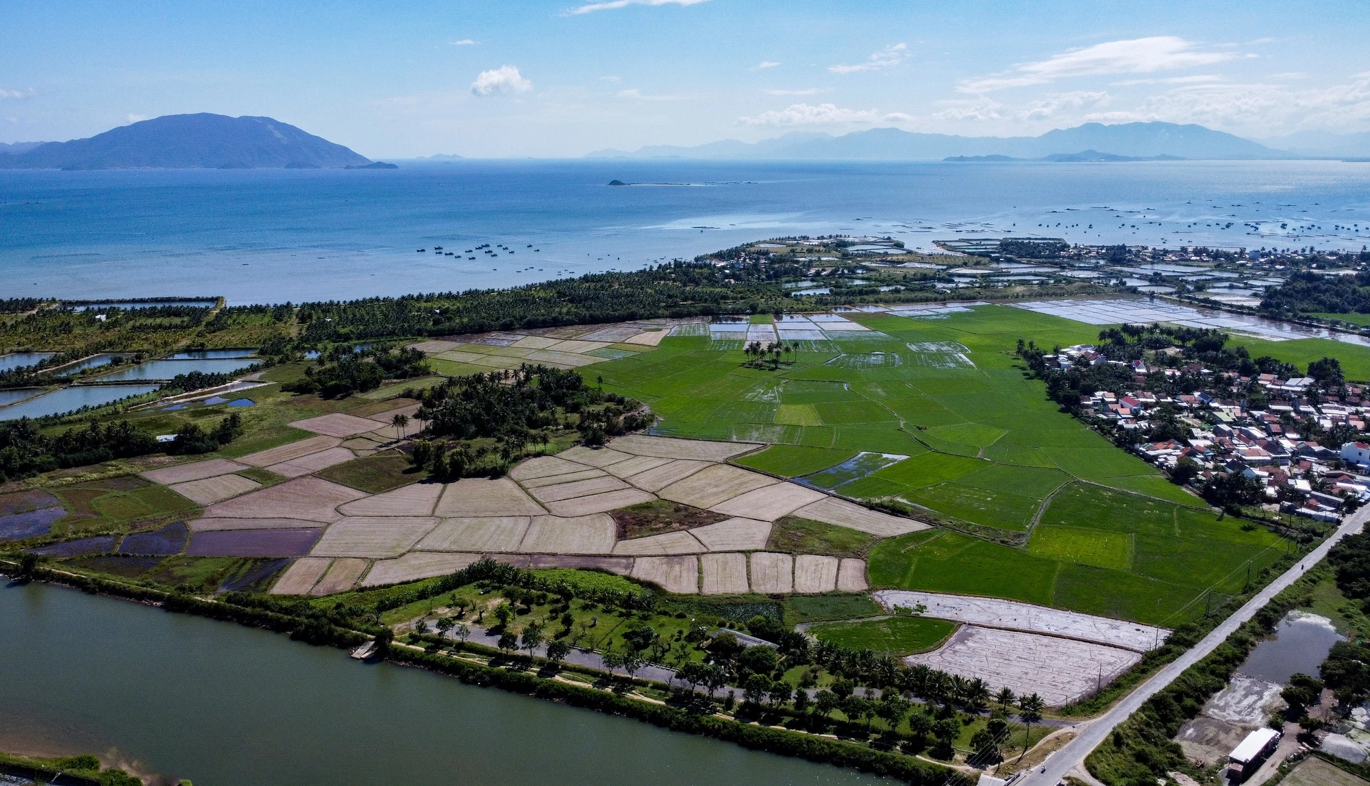 DJI_0777.jpg