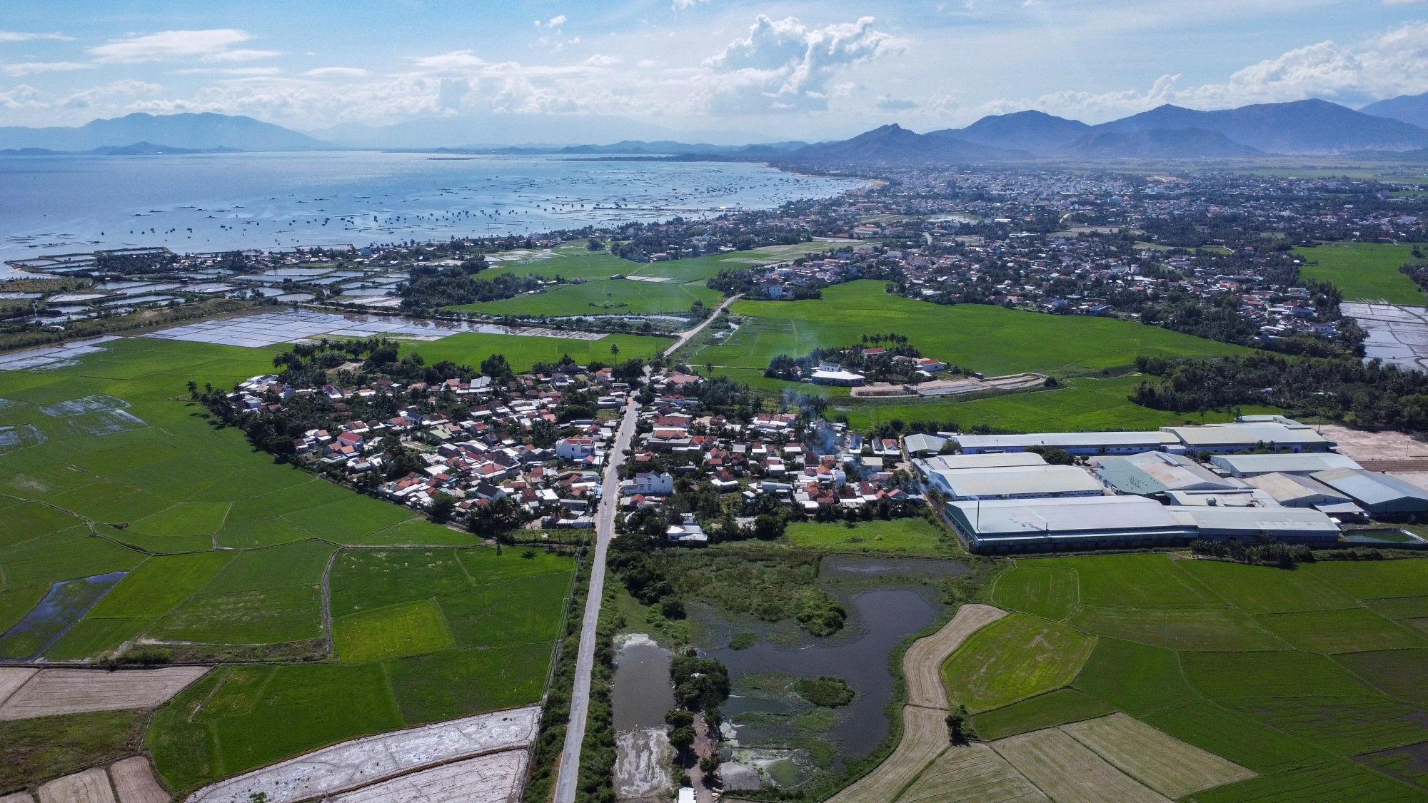 DJI_0783.jpg
