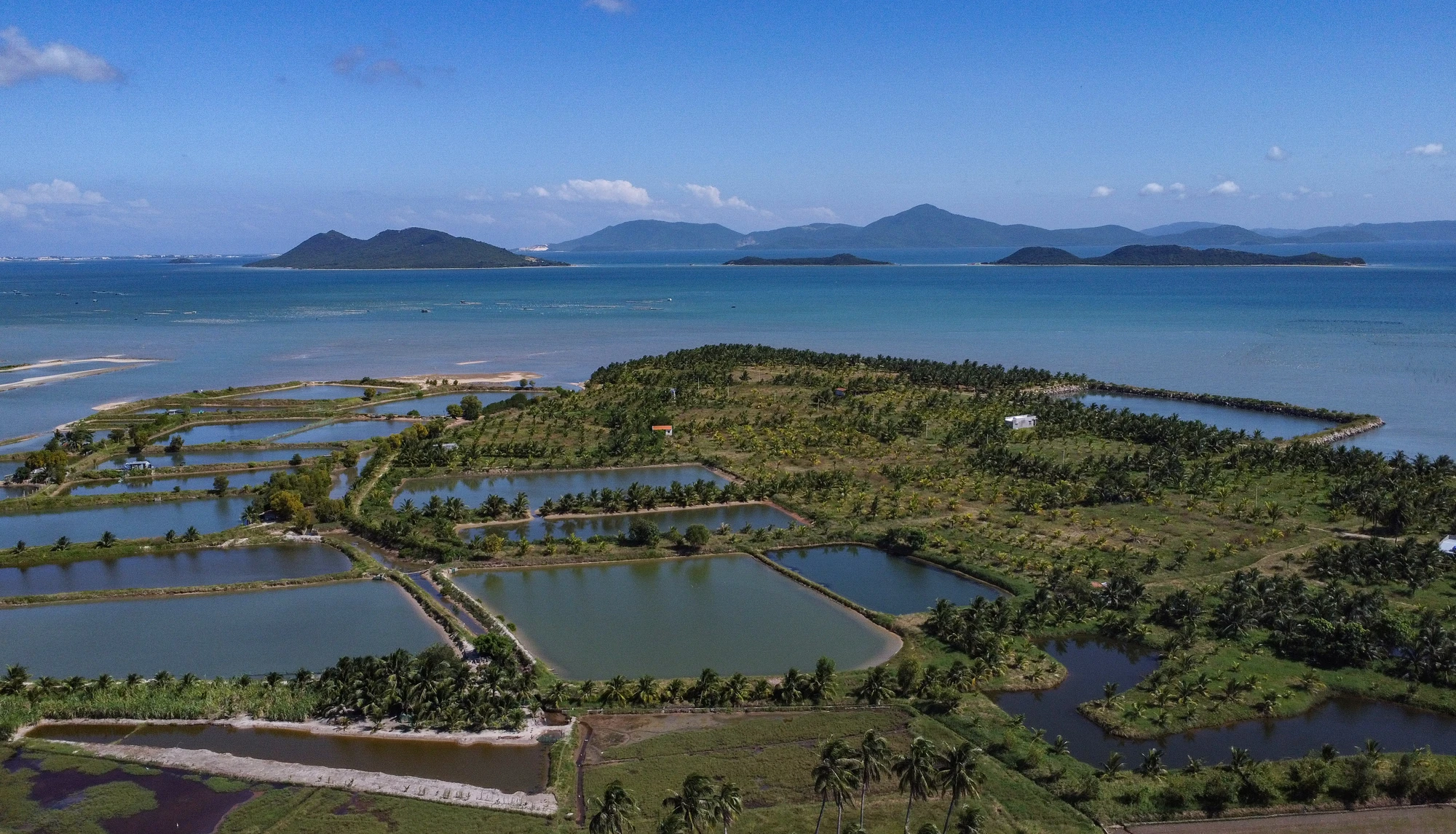 DJI_0797.jpg