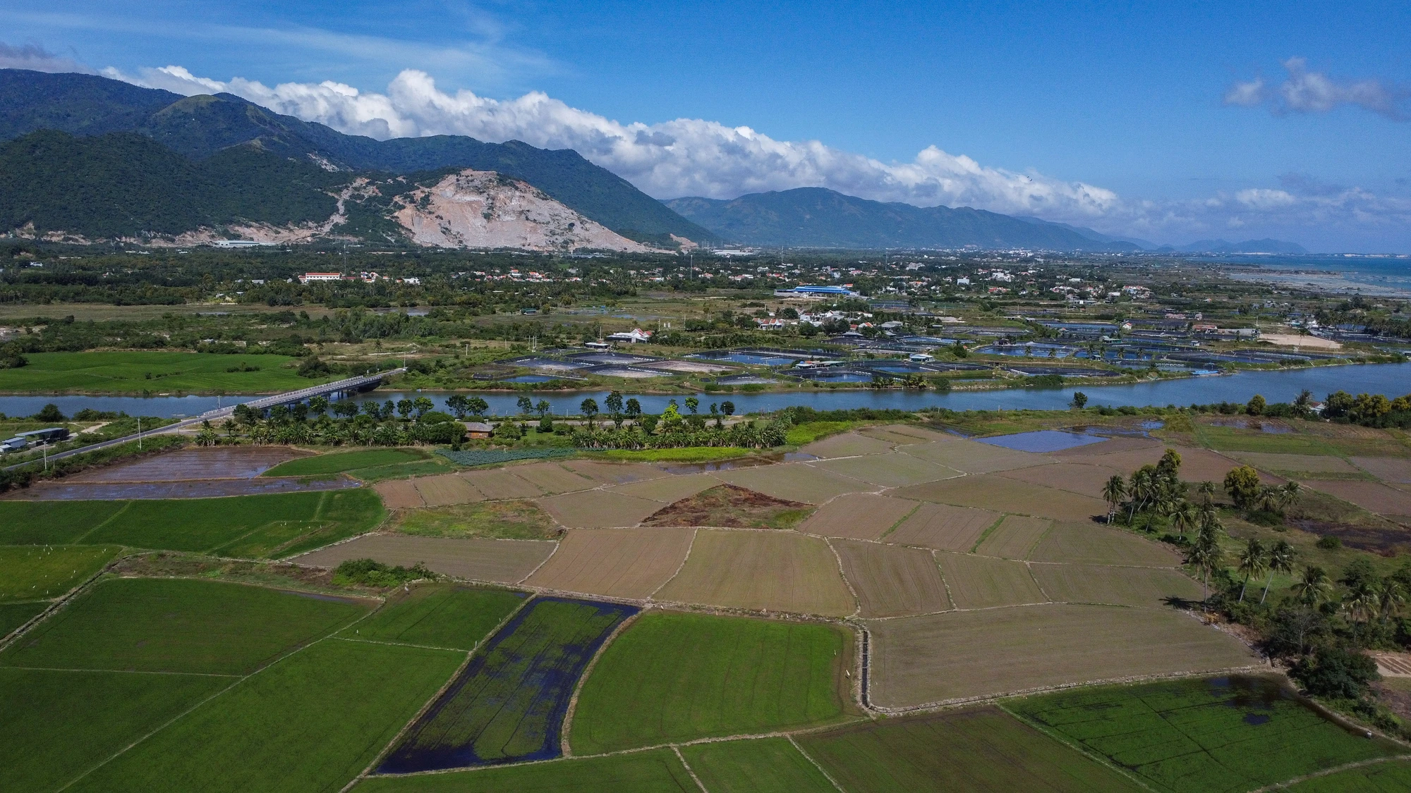 DJI_0804.jpg