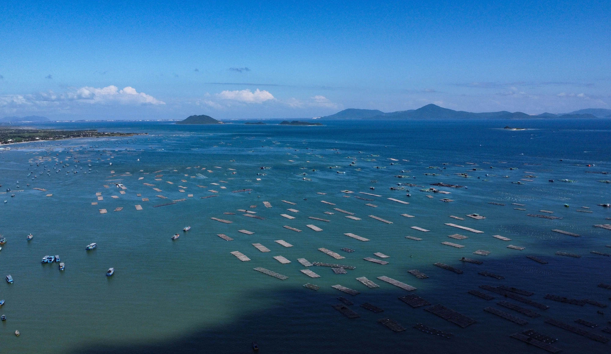 DJI_0838.jpg