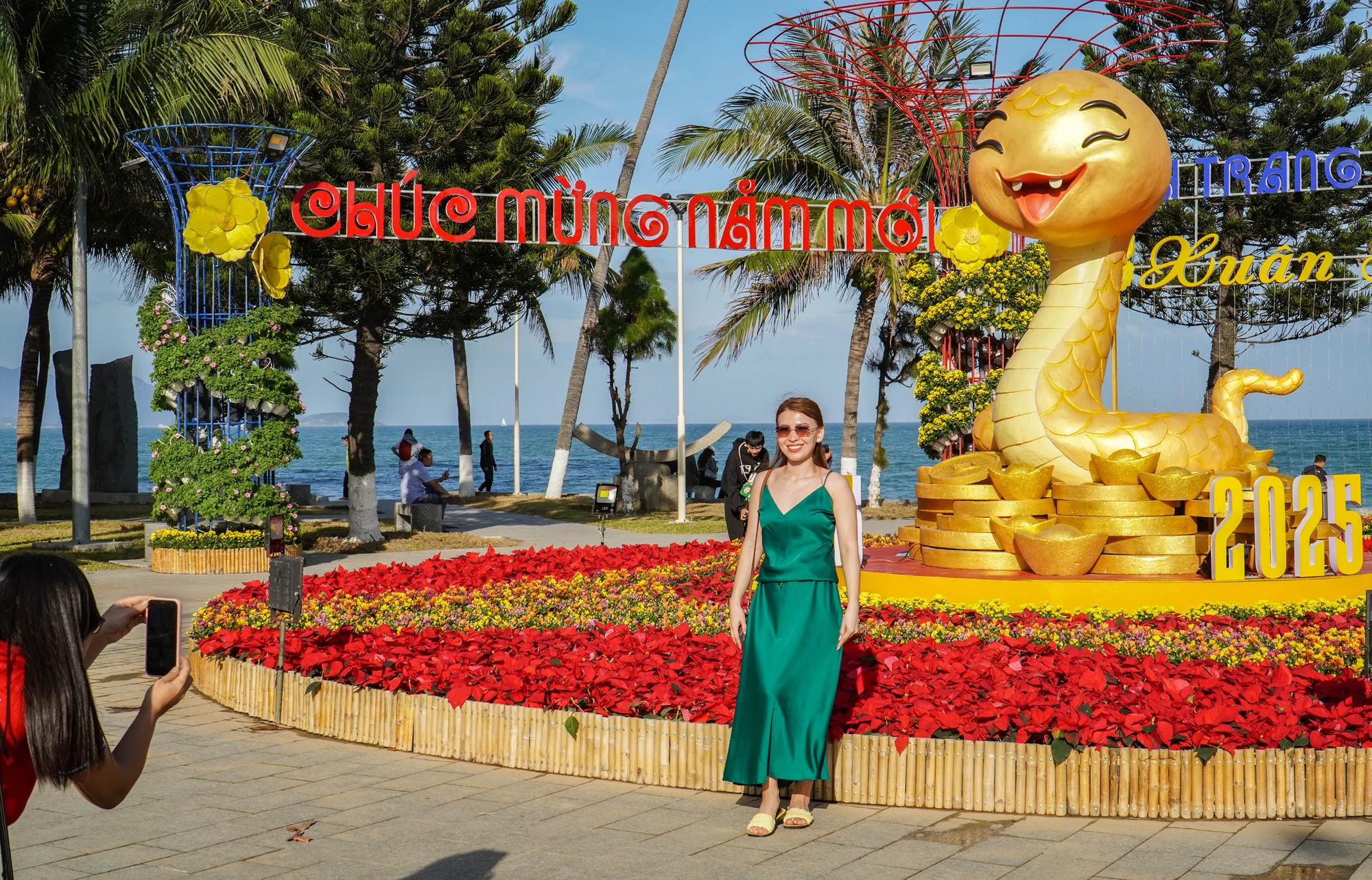 DTH08576.jpg