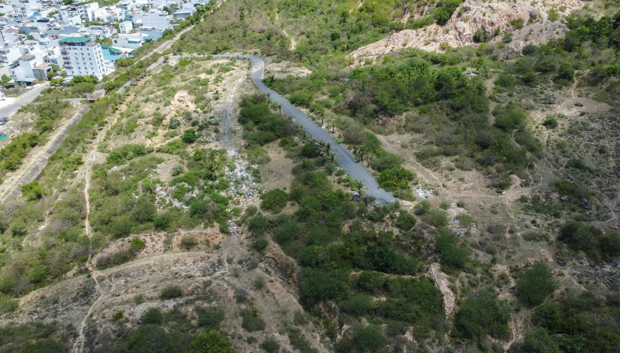 DJI_0161.jpg