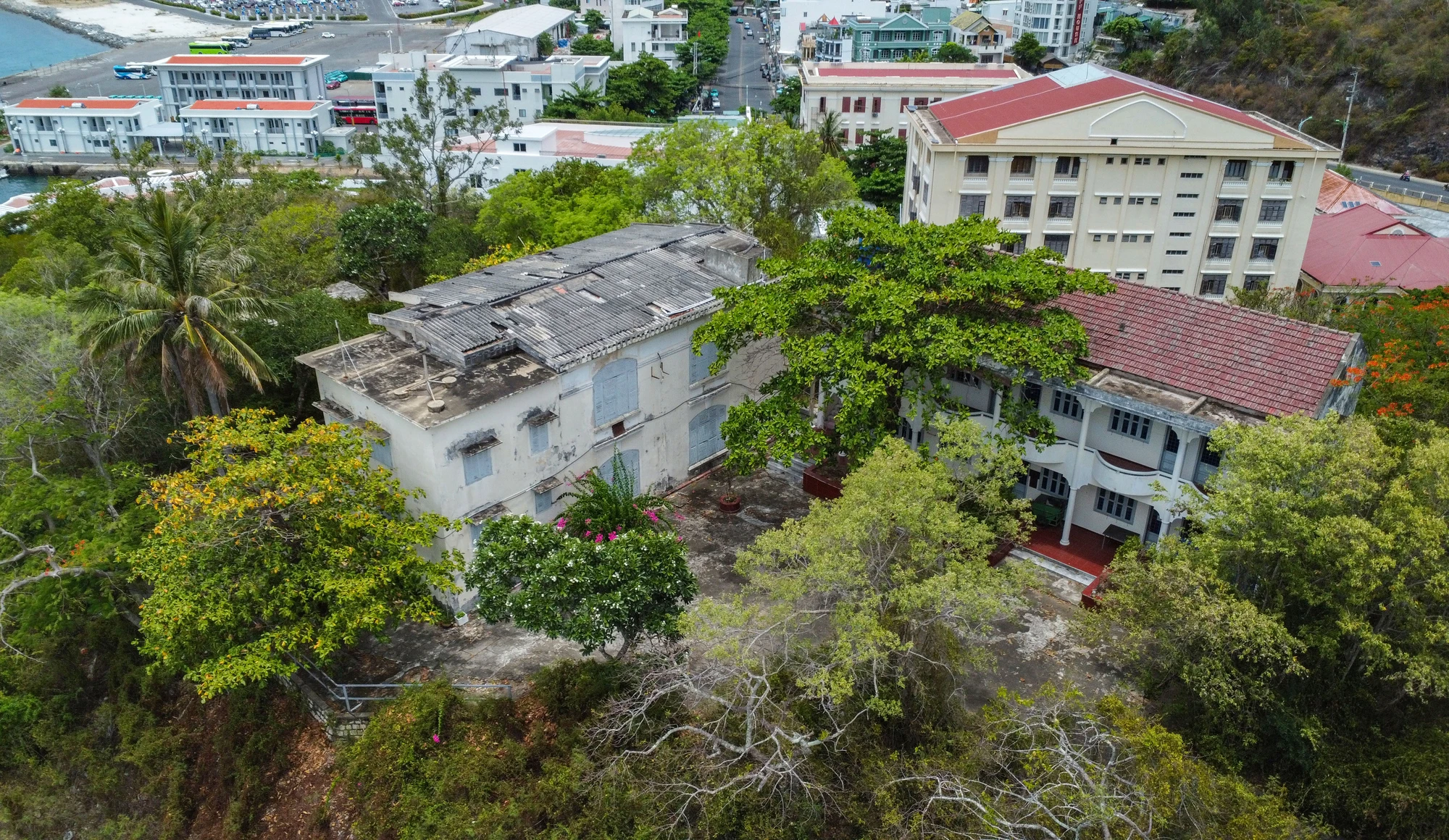 DJI_0009.jpg