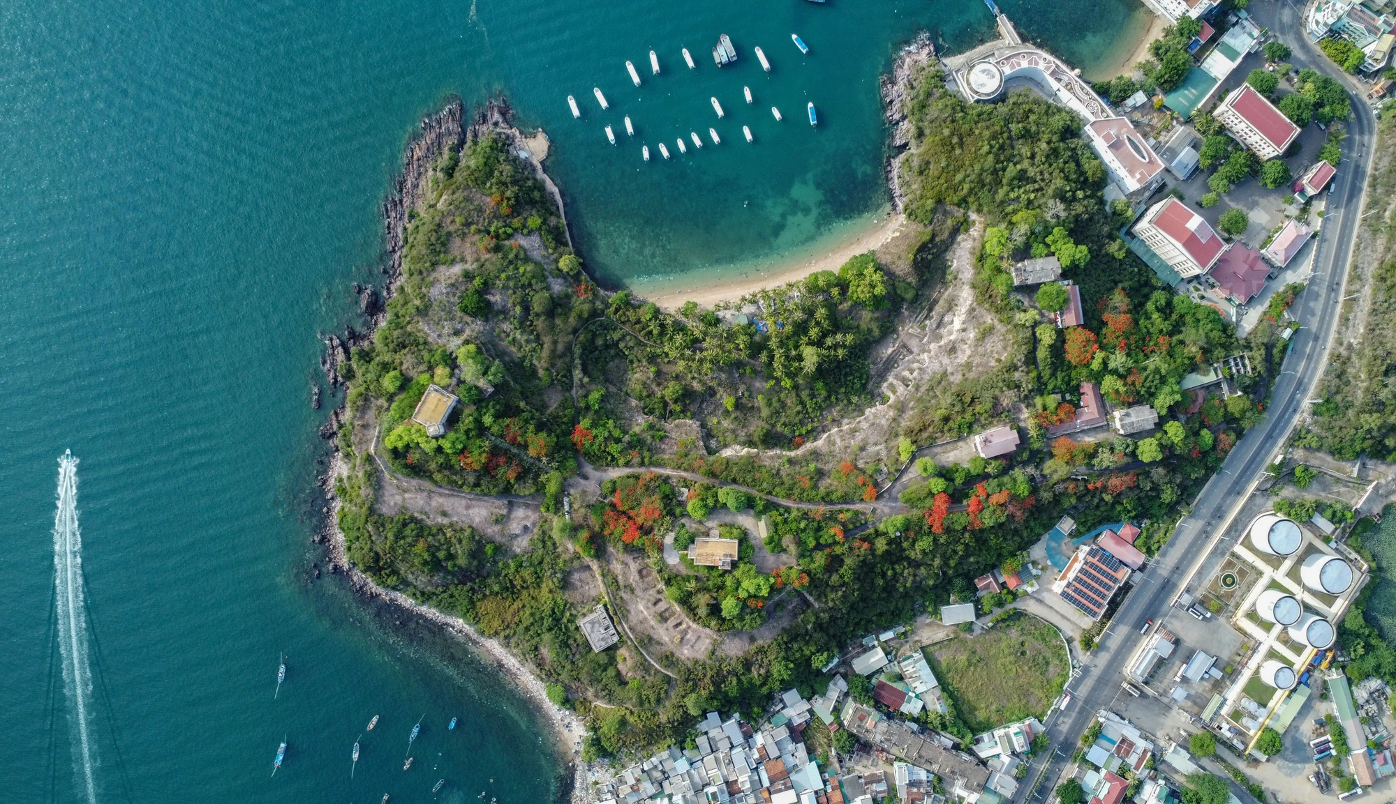 DJI_0611.jpg