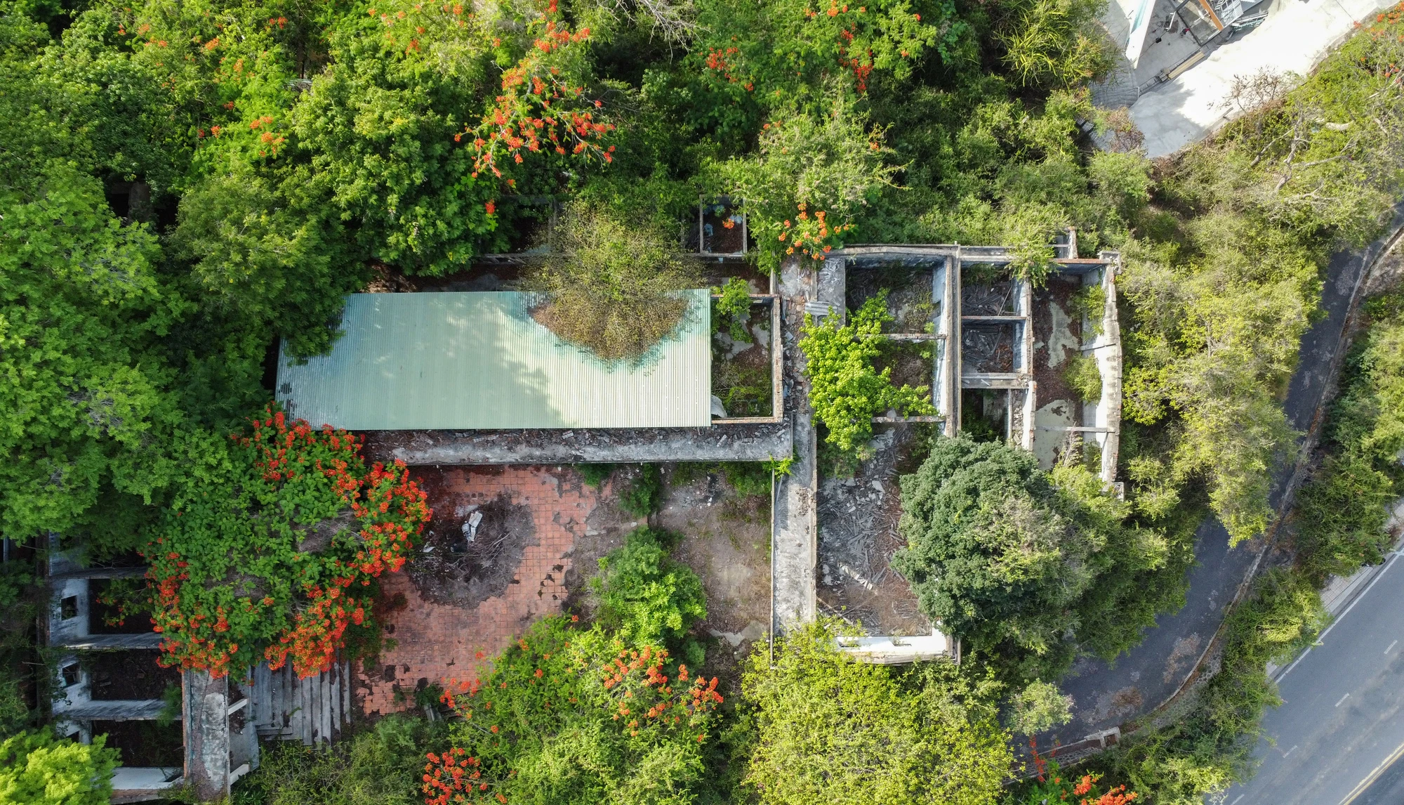 DJI_0628.jpg